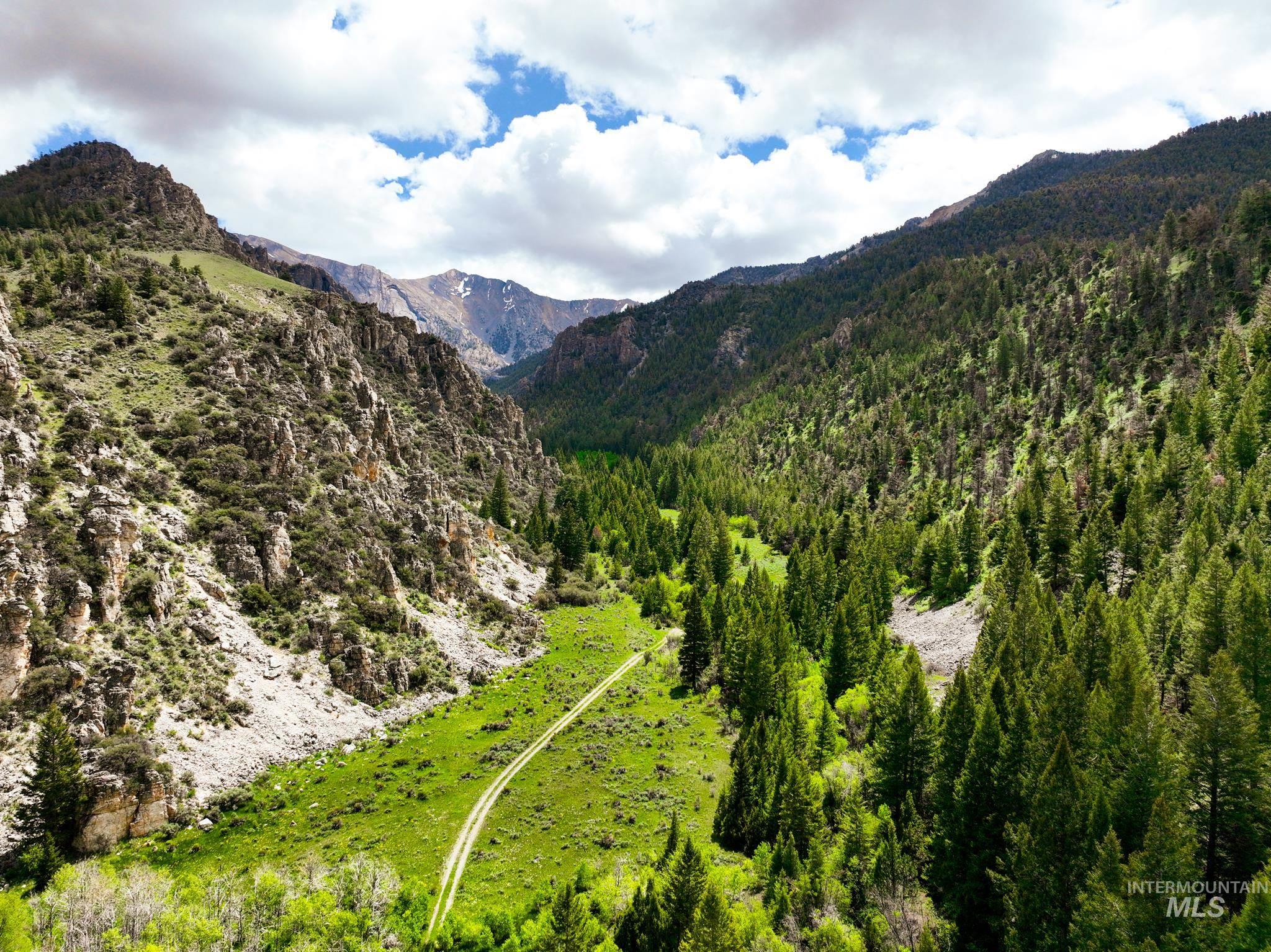 Badger Creek, Howe, Idaho 83244, Land For Sale, Price $750,000,MLS 98951894