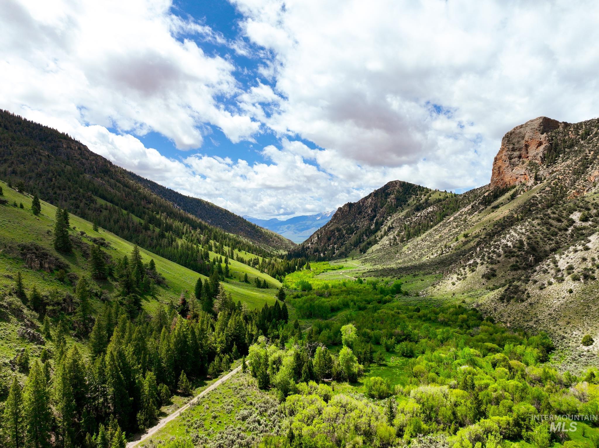 Badger Creek, Howe, Idaho 83244, Land For Sale, Price $750,000,MLS 98951894