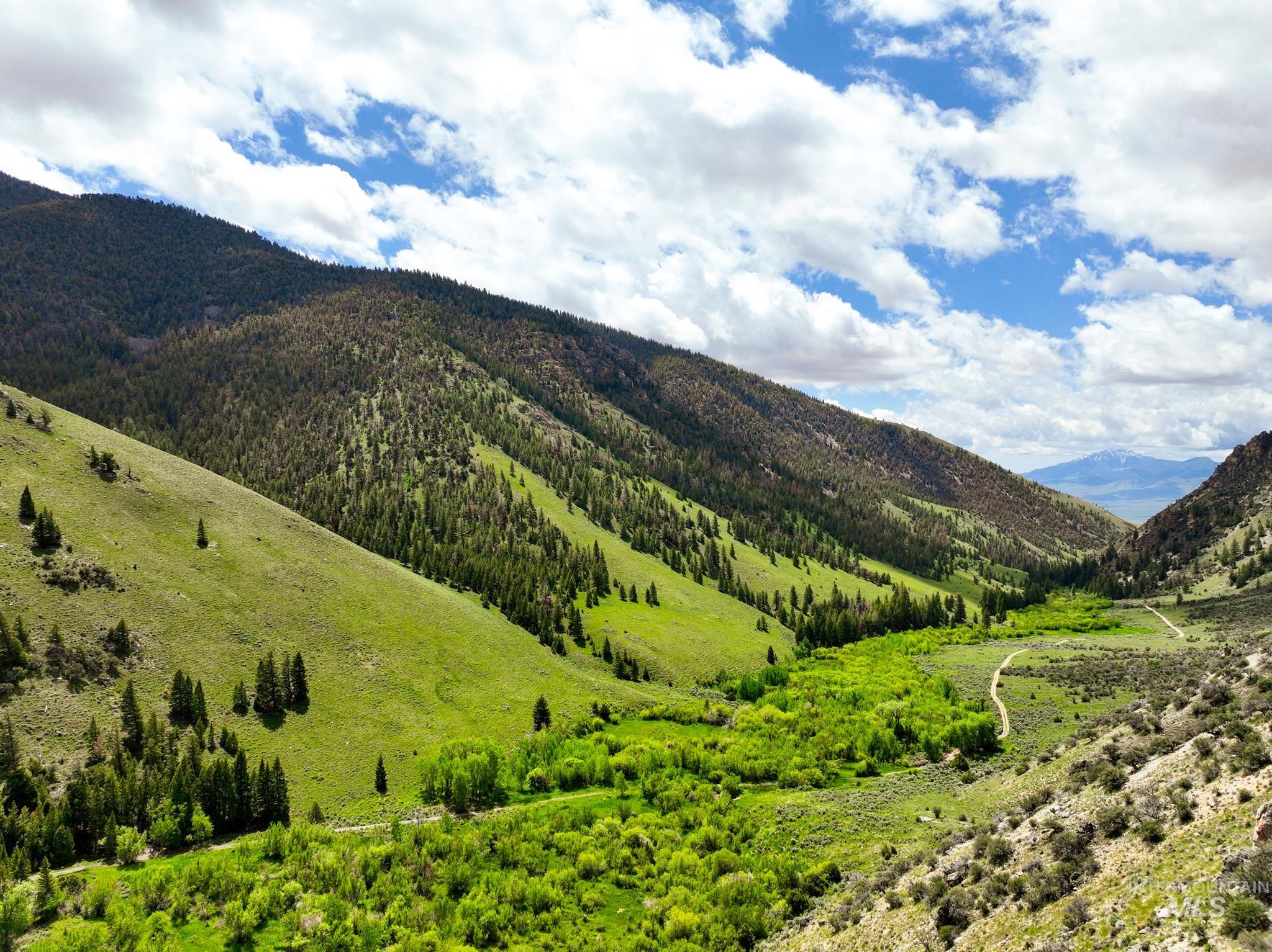 Badger Creek, Howe, Idaho 83244, Land For Sale, Price $750,000,MLS 98951894