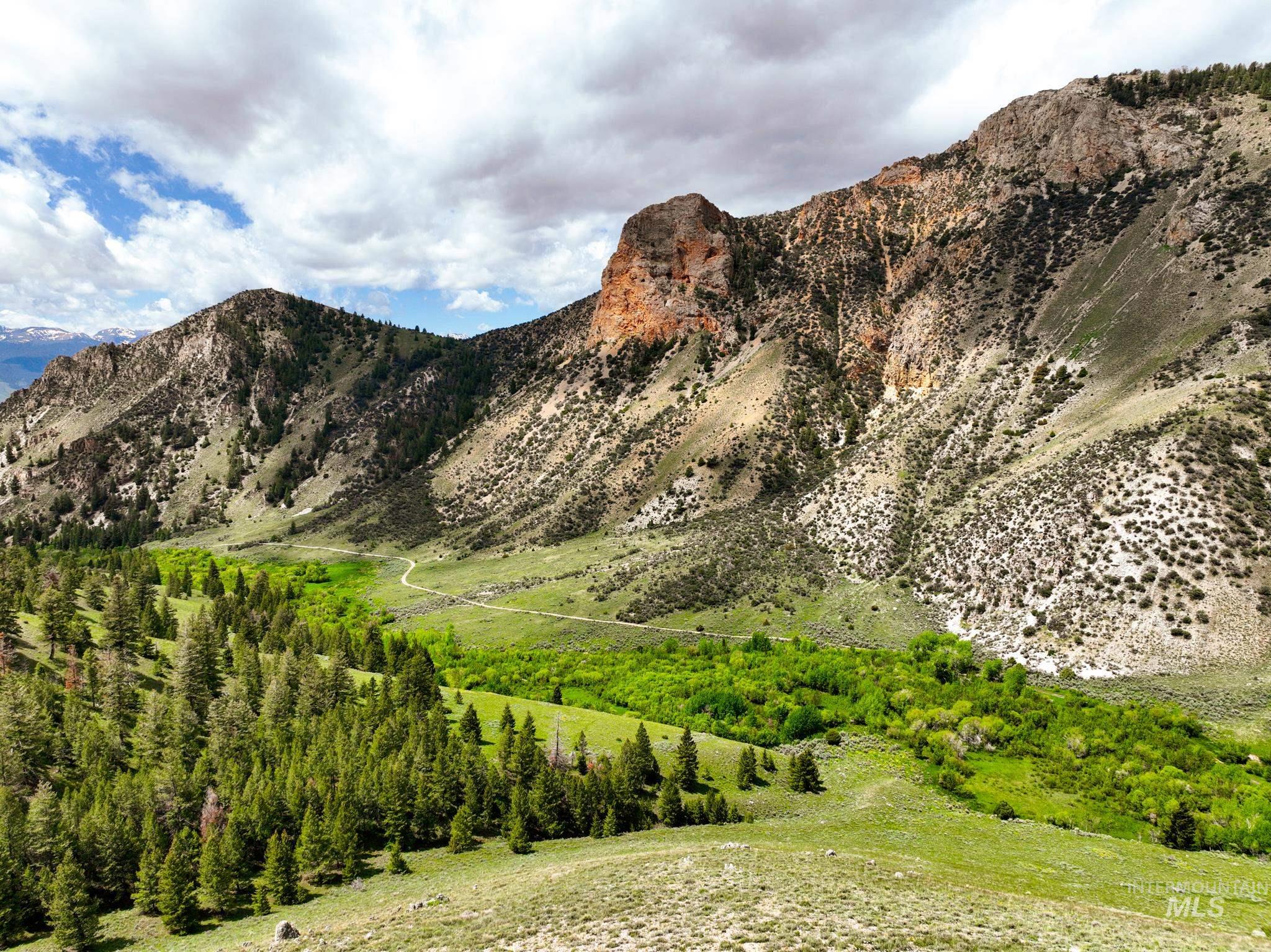 Badger Creek, Howe, Idaho 83244, Land For Sale, Price $750,000,MLS 98951894