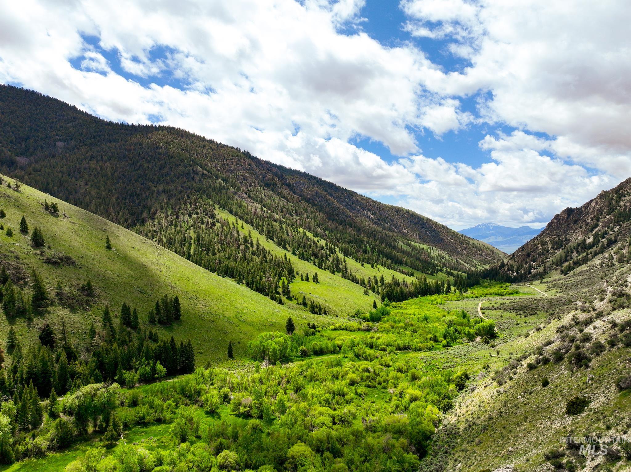 Badger Creek, Howe, Idaho 83244, Land For Sale, Price $750,000,MLS 98951894