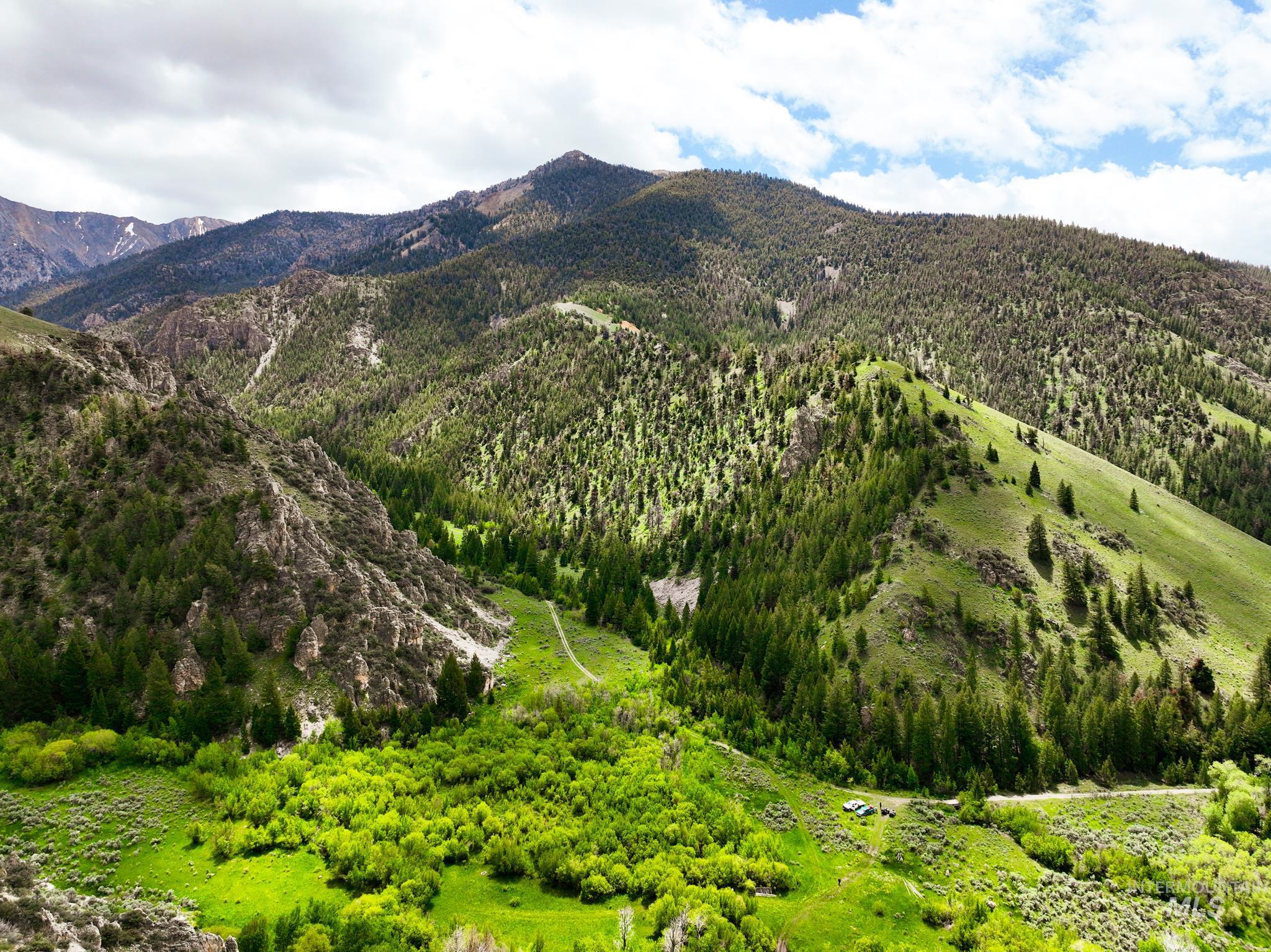 Badger Creek, Howe, Idaho 83244, Land For Sale, Price $750,000,MLS 98951894