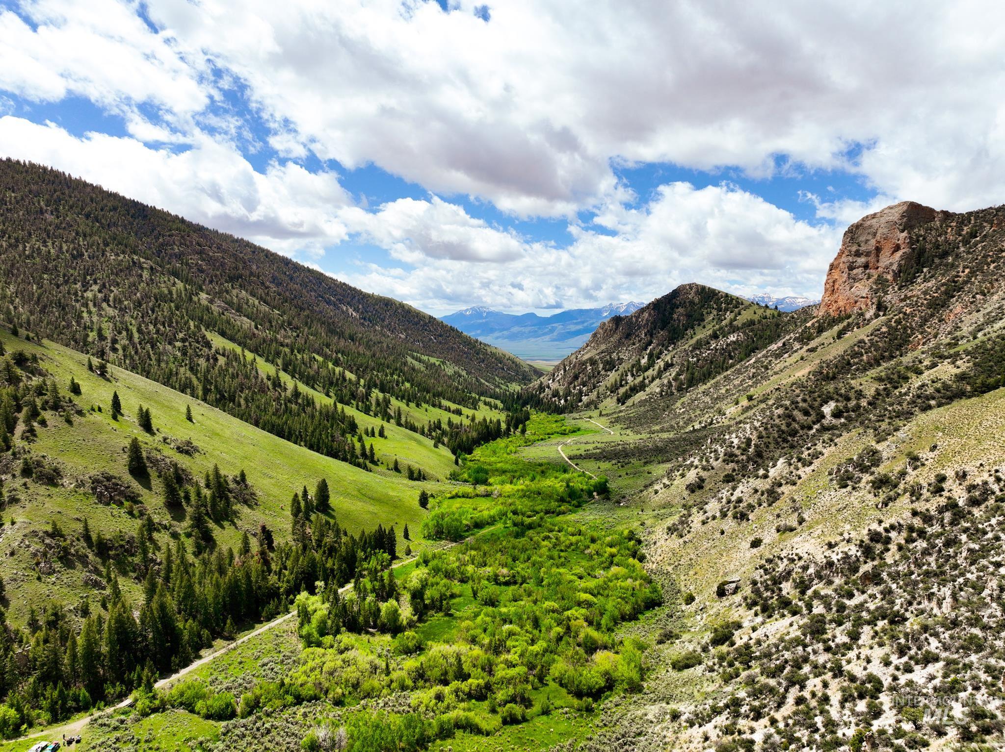 Badger Creek, Howe, Idaho 83244, Land For Sale, Price $750,000,MLS 98951894