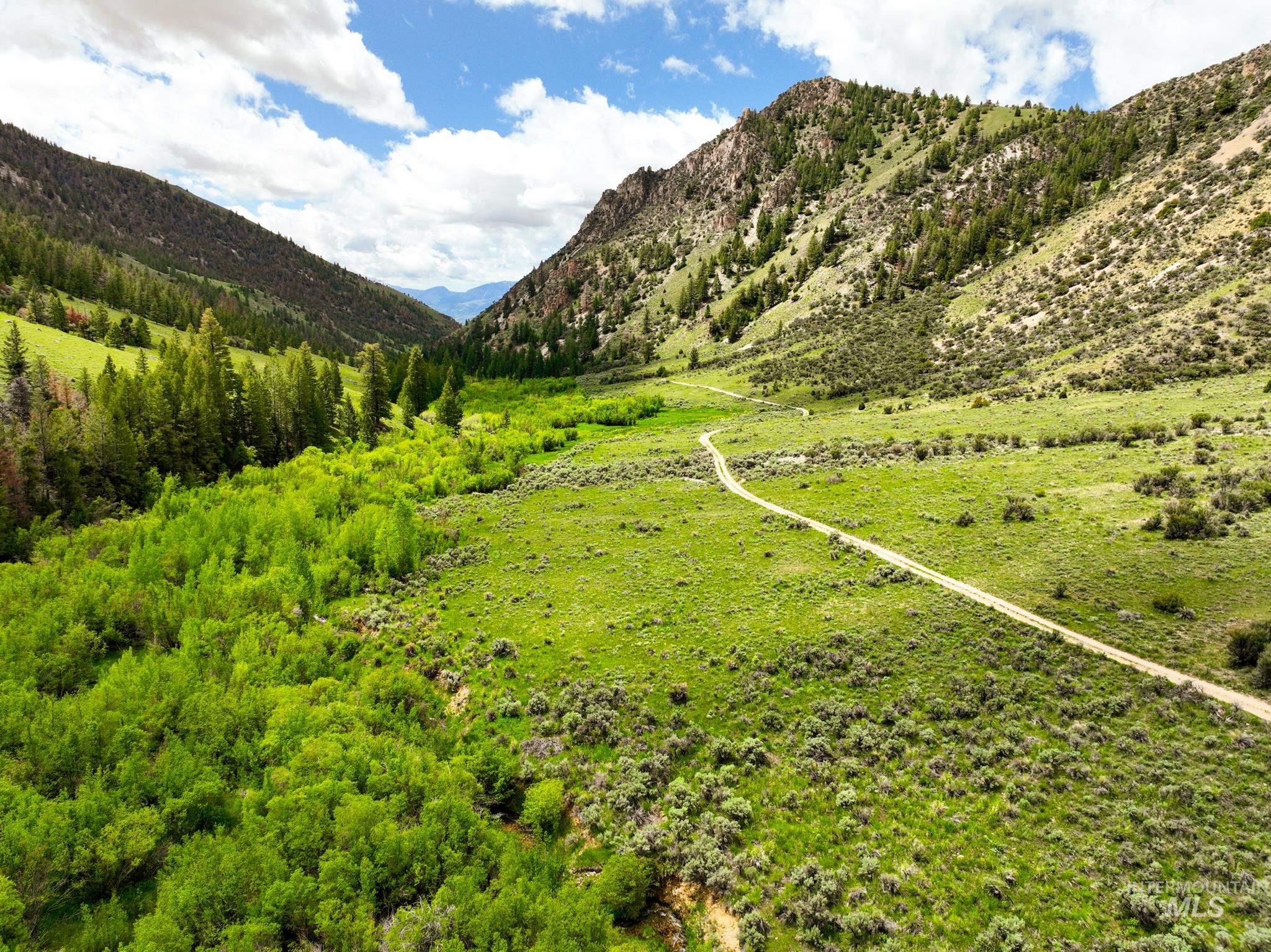 Badger Creek, Howe, Idaho 83244, Land For Sale, Price $750,000,MLS 98951894