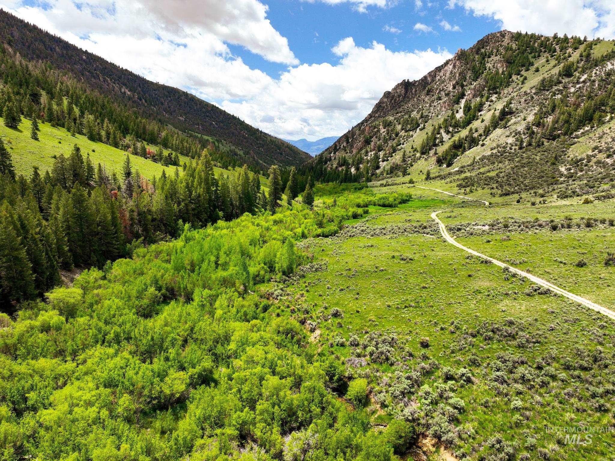 Badger Creek, Howe, Idaho 83244, Land For Sale, Price $750,000,MLS 98951894