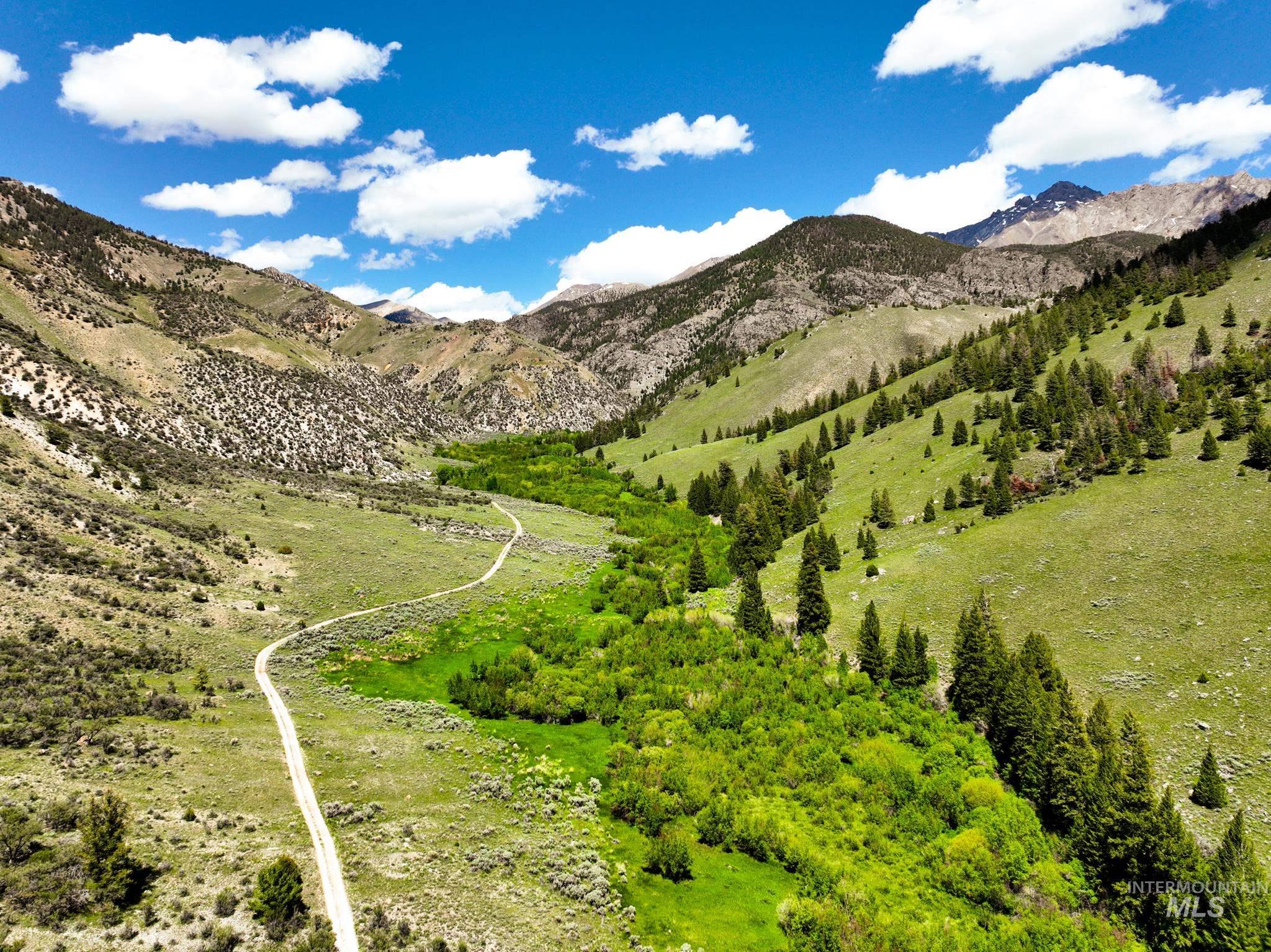 Badger Creek, Howe, Idaho 83244, Land For Sale, Price $750,000,MLS 98951894