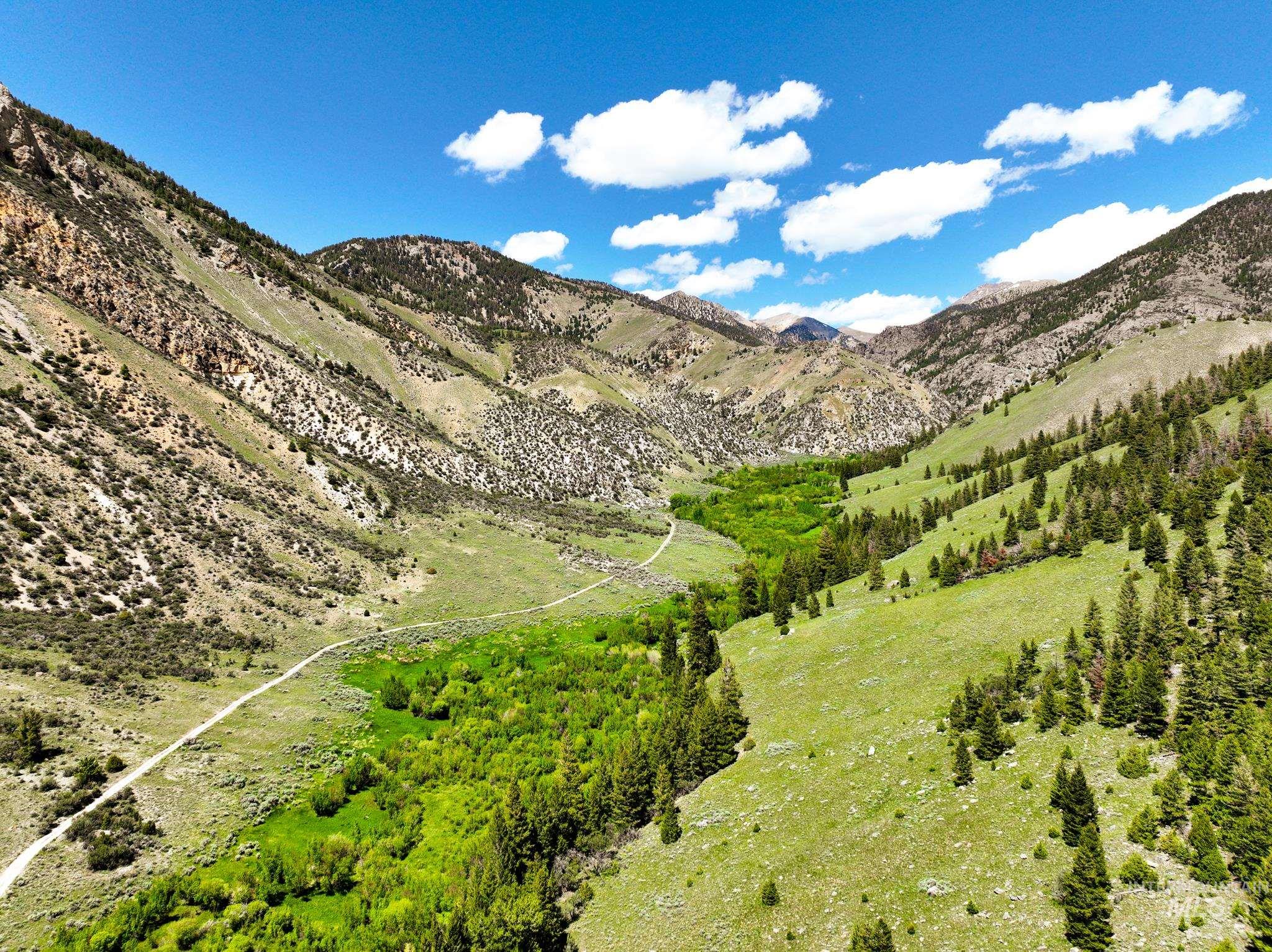 Badger Creek, Howe, Idaho 83244, Land For Sale, Price $750,000,MLS 98951894