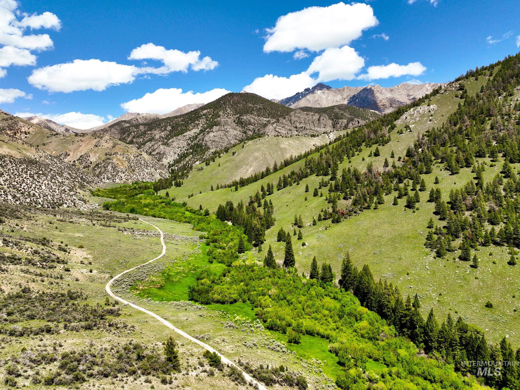 Badger Creek, Howe, Idaho 83244, Land For Sale, Price $750,000,MLS 98951894