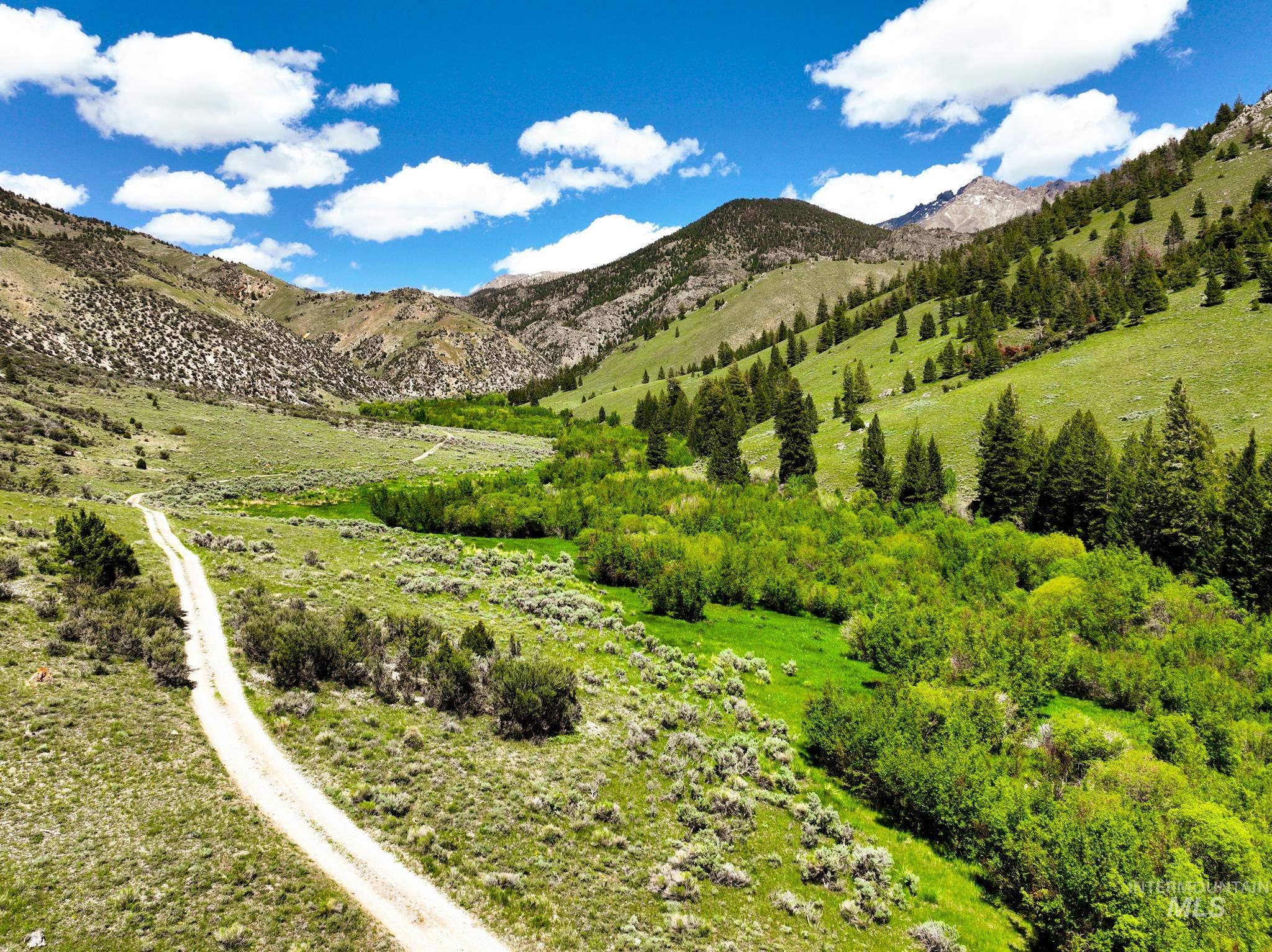 Badger Creek, Howe, Idaho 83244, Land For Sale, Price $750,000,MLS 98951894