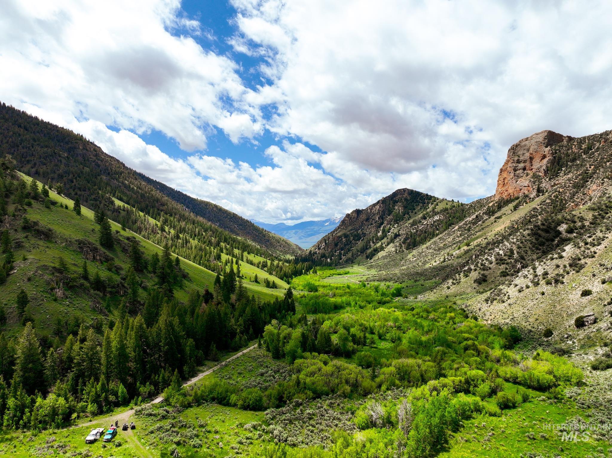 Badger Creek, Howe, Idaho 83244, Land For Sale, Price $750,000,MLS 98951894