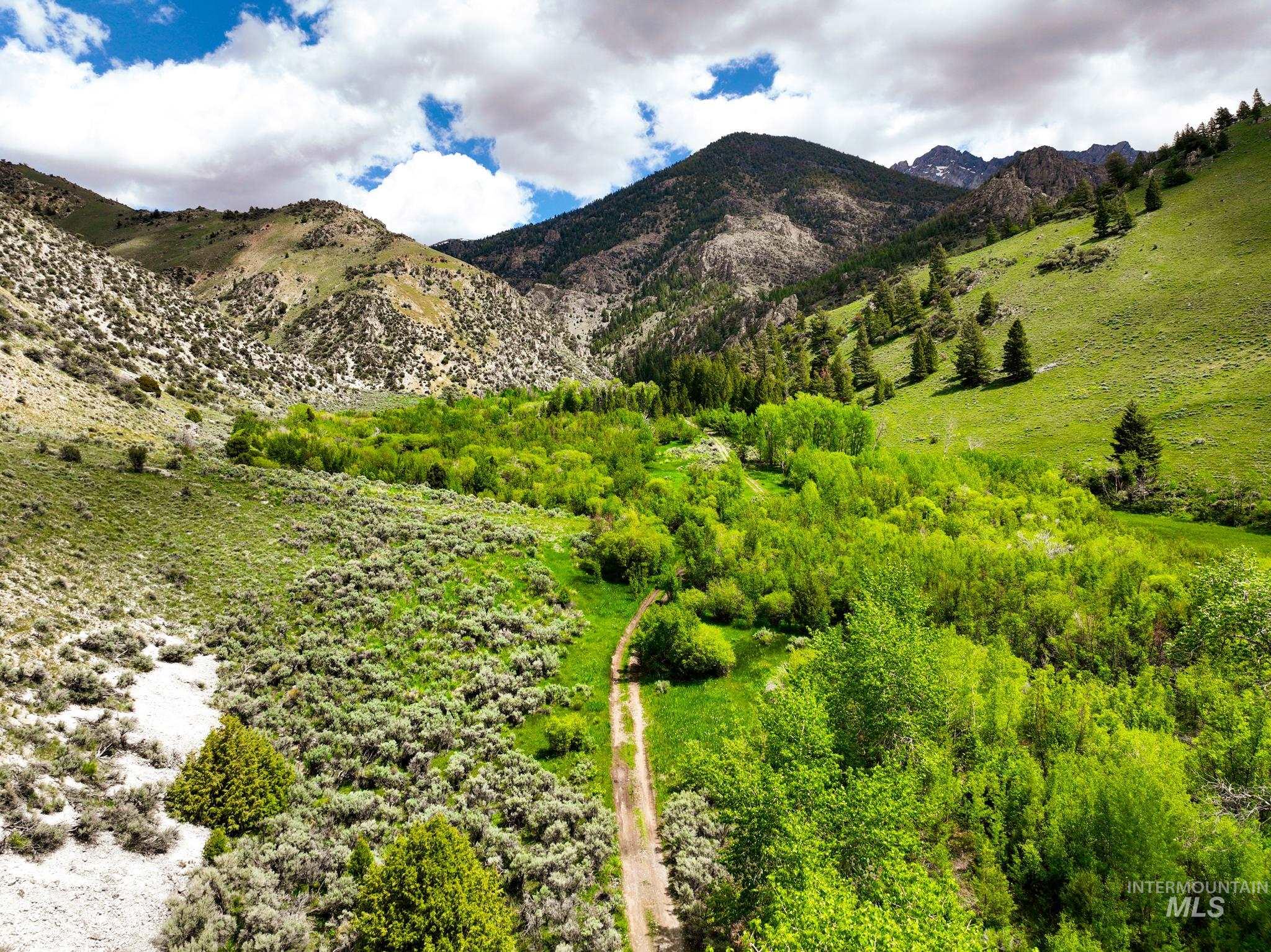 Badger Creek, Howe, Idaho 83244, Land For Sale, Price $750,000,MLS 98951894