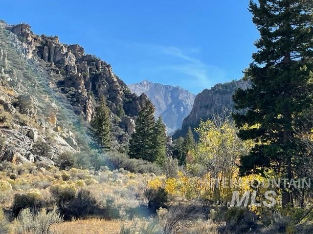 Badger Creek, Howe, Idaho 83244, Land For Sale, Price $750,000,MLS 98951894