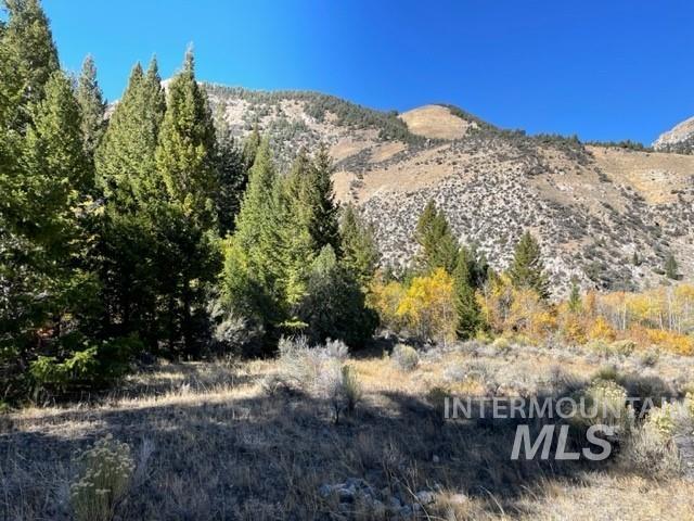 Badger Creek, Howe, Idaho 83244, Land For Sale, Price $750,000,MLS 98951894