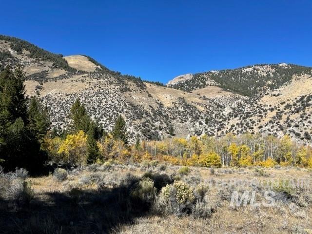 Badger Creek, Howe, Idaho 83244, Land For Sale, Price $750,000,MLS 98951894