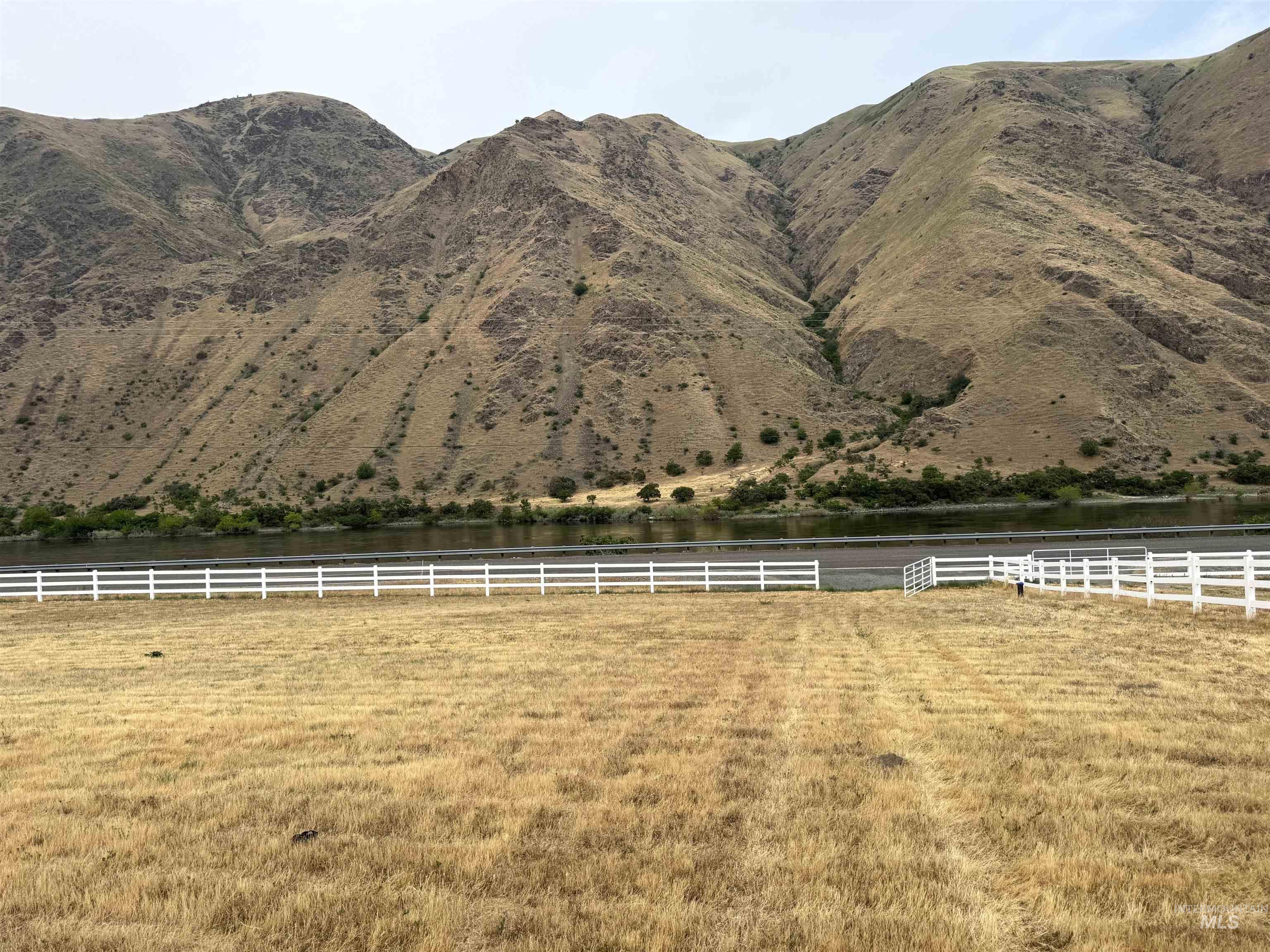 TBD Snake River Road, Asotin, Washington 99402, Land For Sale, Price $349,000, 98952011