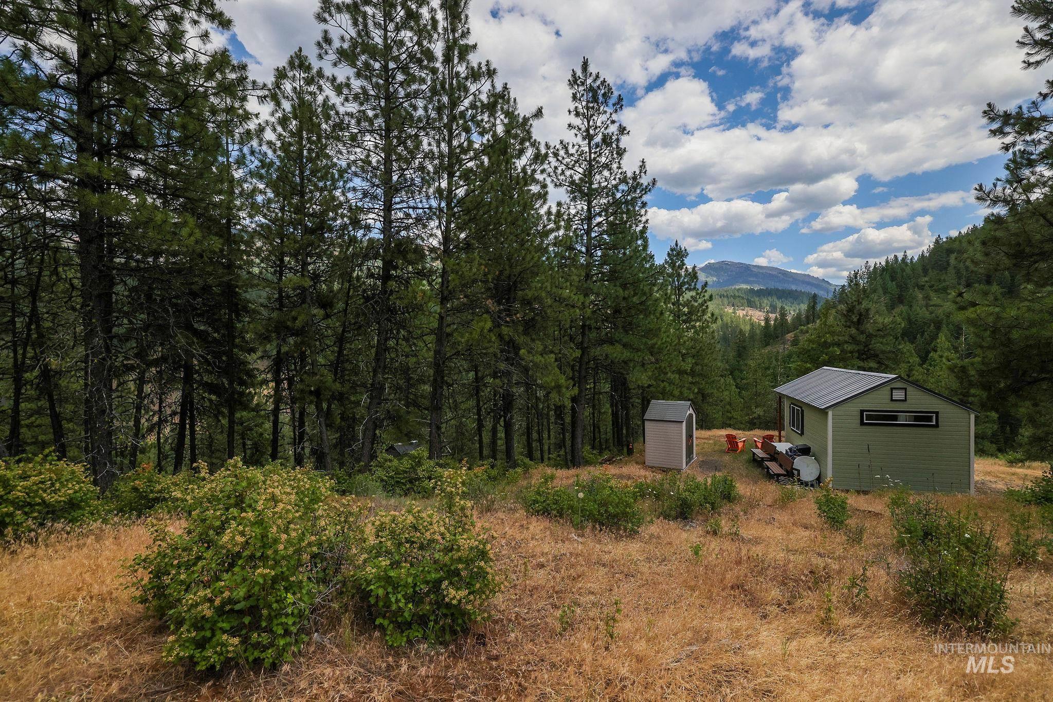 28 Hillman Basin Rd, New Meadows, Idaho 83654, Land For Sale, Price $170,000,MLS 98952127