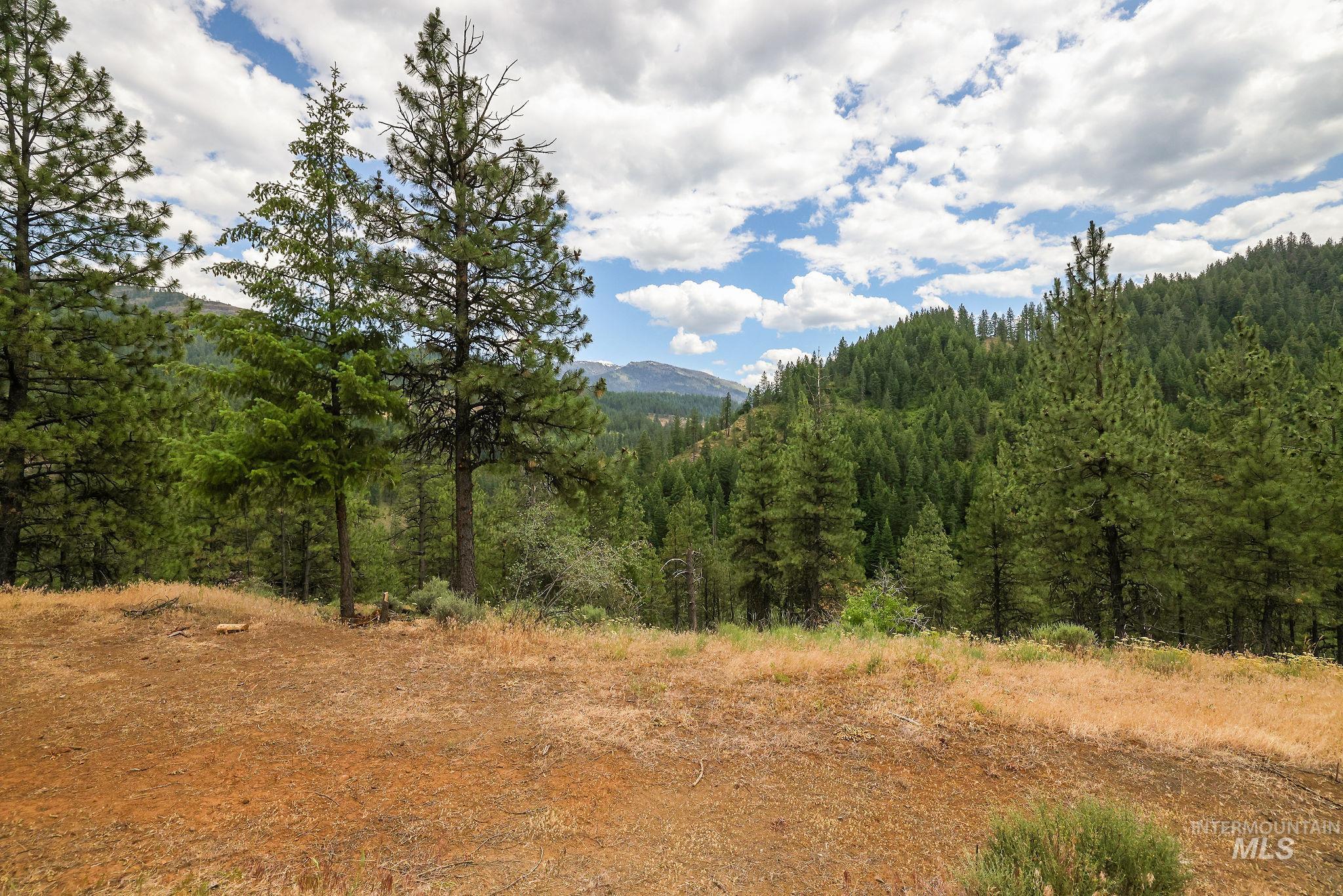 28 Hillman Basin Rd, New Meadows, Idaho 83654, Land For Sale, Price $170,000,MLS 98952127