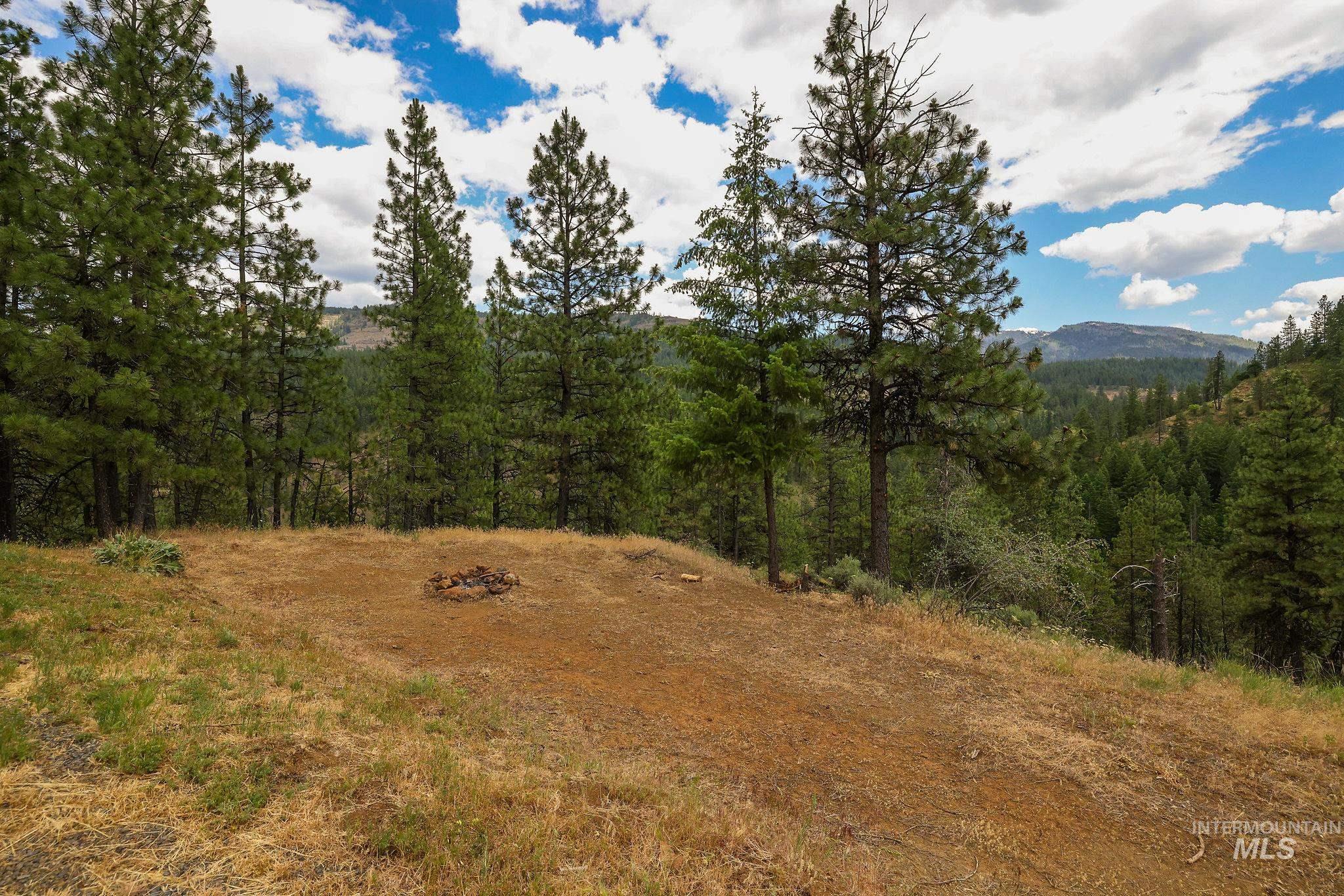 28 Hillman Basin Rd, New Meadows, Idaho 83654, Land For Sale, Price $170,000,MLS 98952127