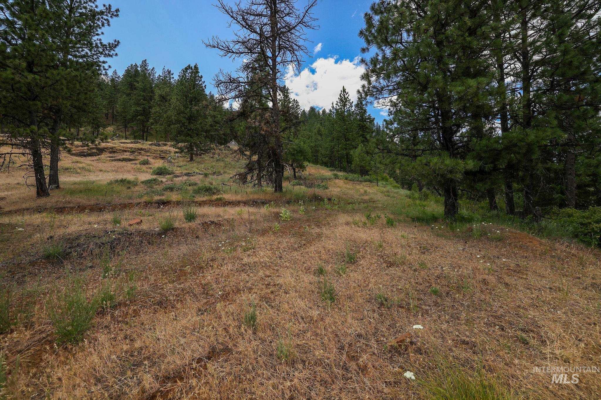 28 Hillman Basin Rd, New Meadows, Idaho 83654, Land For Sale, Price $170,000,MLS 98952127