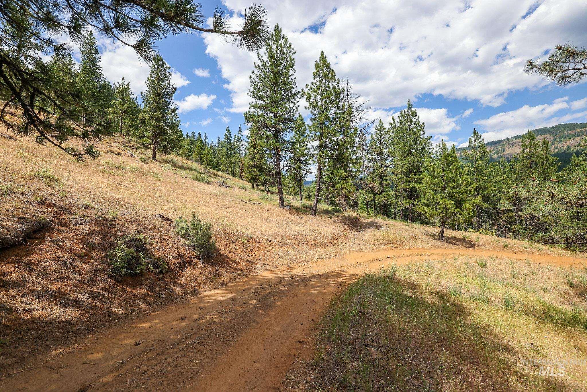 28 Hillman Basin Rd, New Meadows, Idaho 83654, Land For Sale, Price $170,000,MLS 98952127