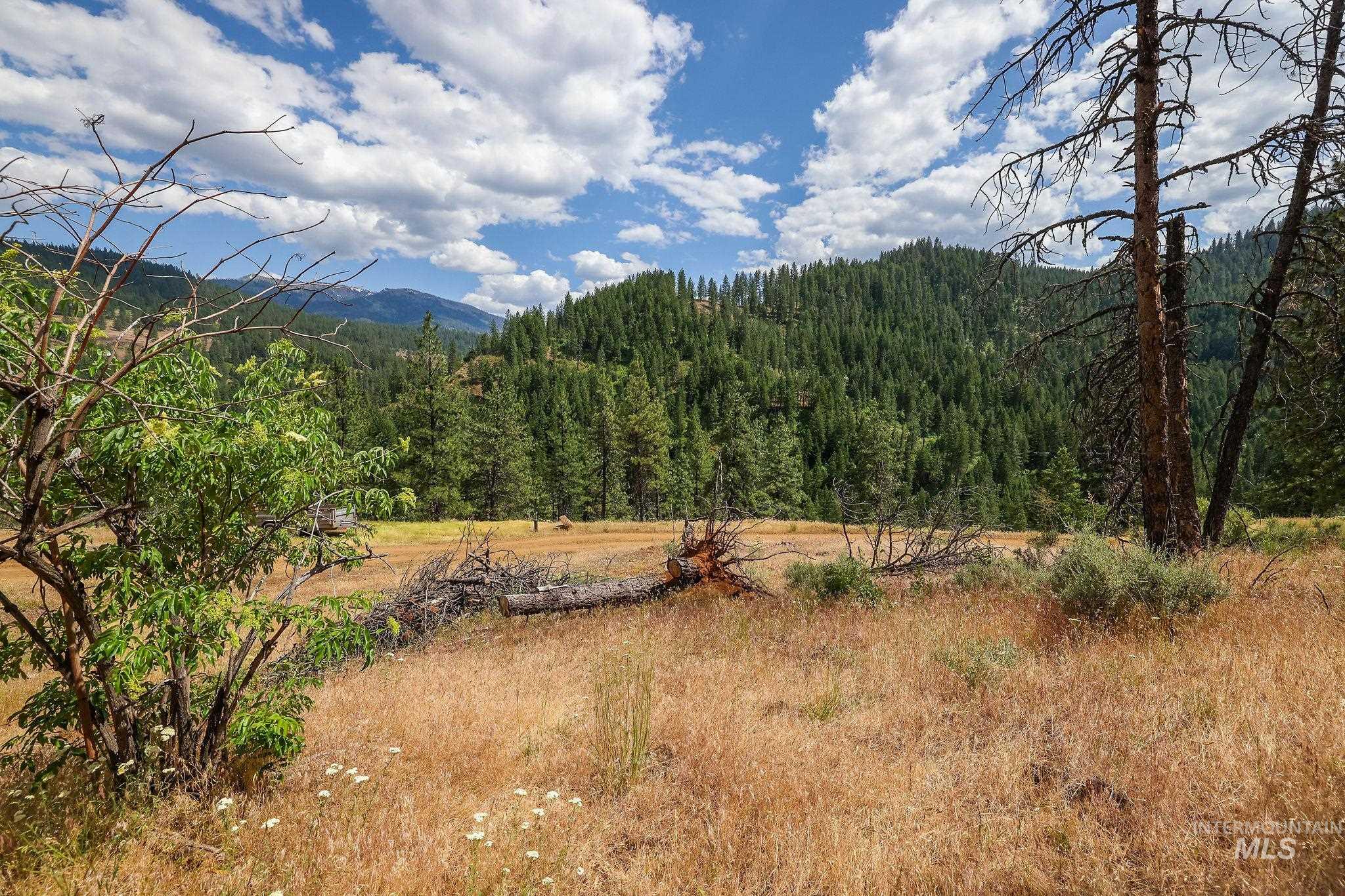 28 Hillman Basin Rd, New Meadows, Idaho 83654, Land For Sale, Price $170,000,MLS 98952127