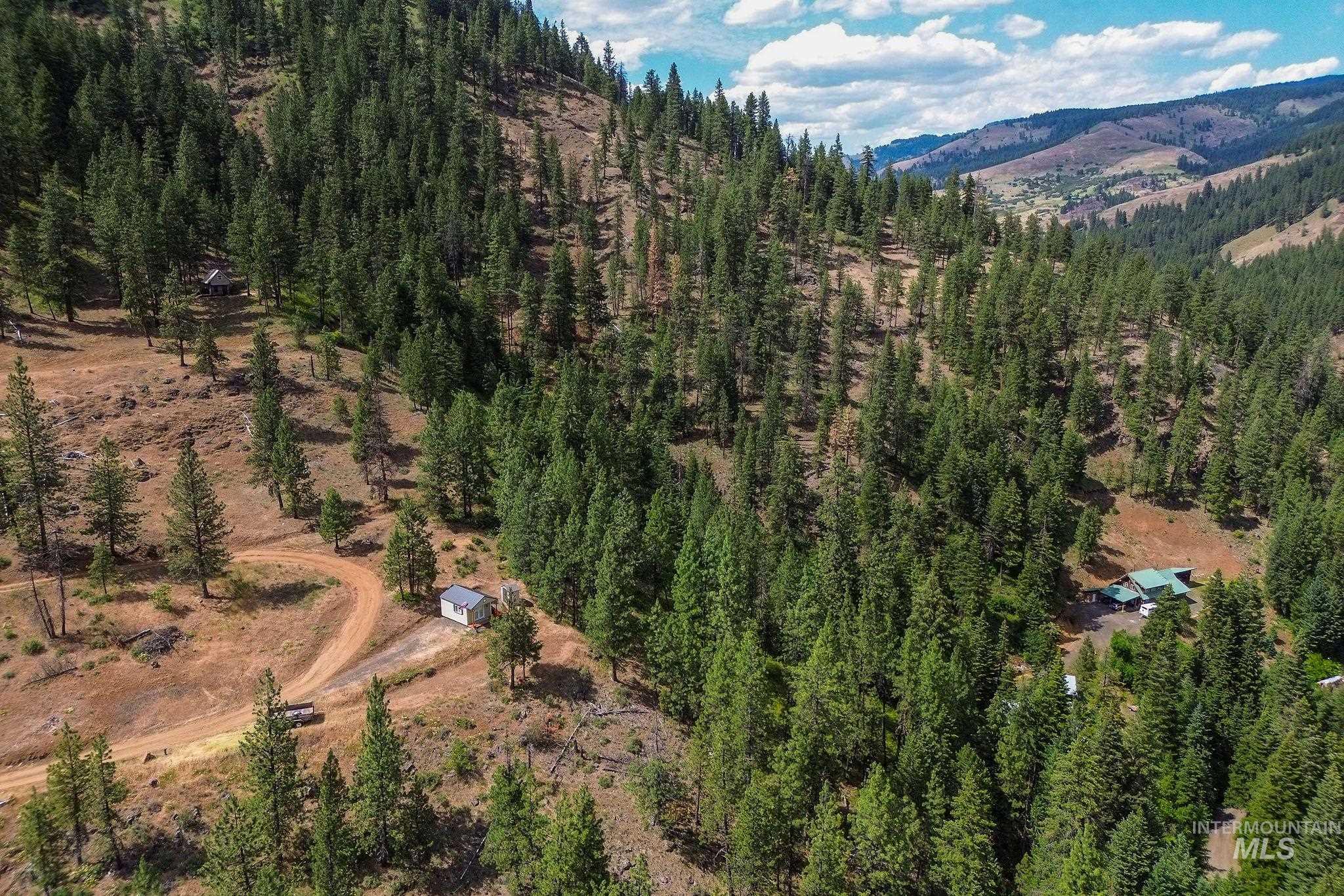 28 Hillman Basin Rd, New Meadows, Idaho 83654, Land For Sale, Price $170,000,MLS 98952127