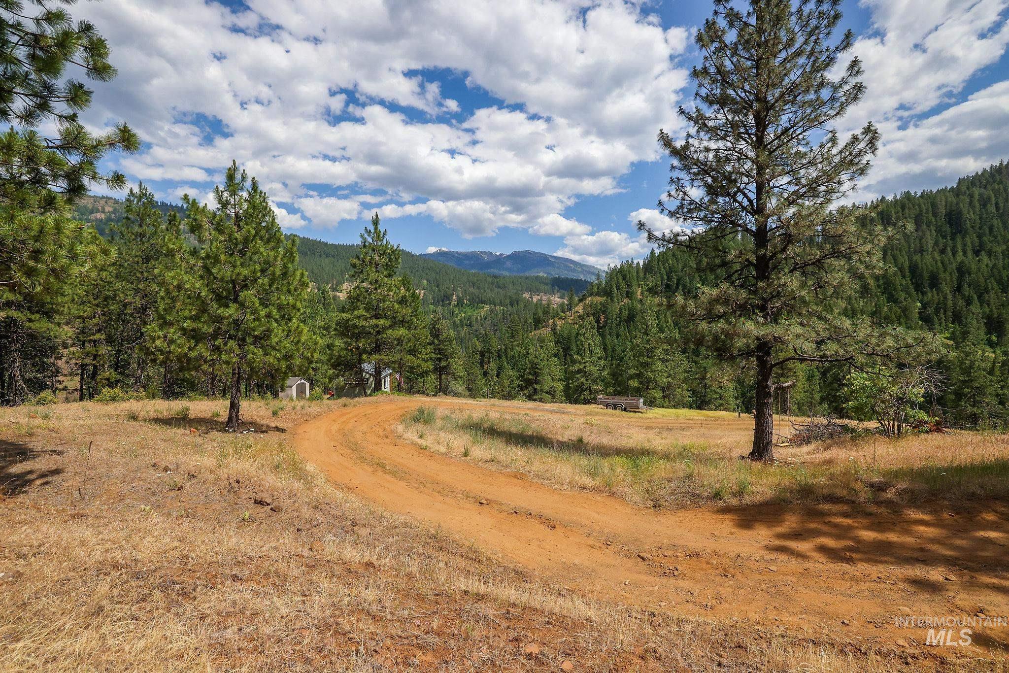 28 Hillman Basin Rd, New Meadows, Idaho 83654, Land For Sale, Price $170,000,MLS 98952127