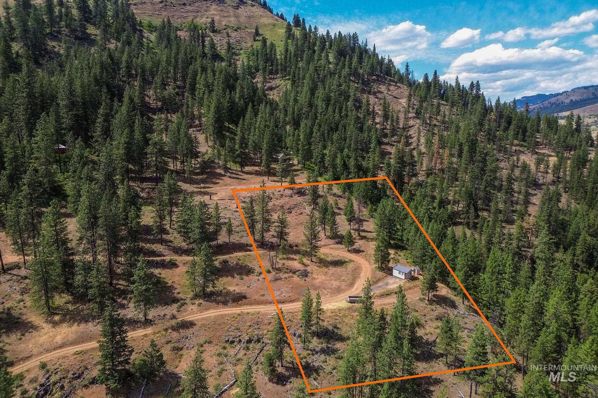 28 Hillman Basin Rd, New Meadows, Idaho 83654, Land For Sale, Price $170,000,MLS 98952127