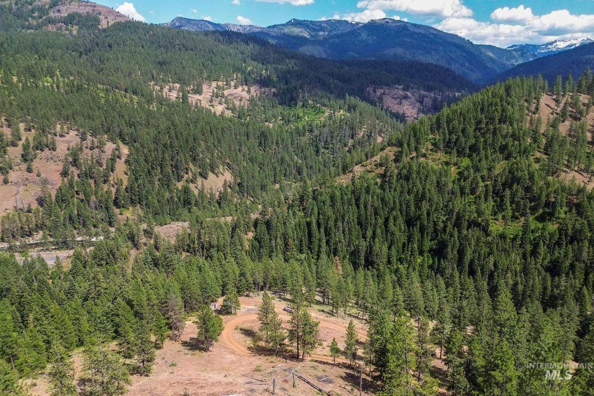 28 Hillman Basin Rd, New Meadows, Idaho 83654, Land For Sale, Price $170,000,MLS 98952127