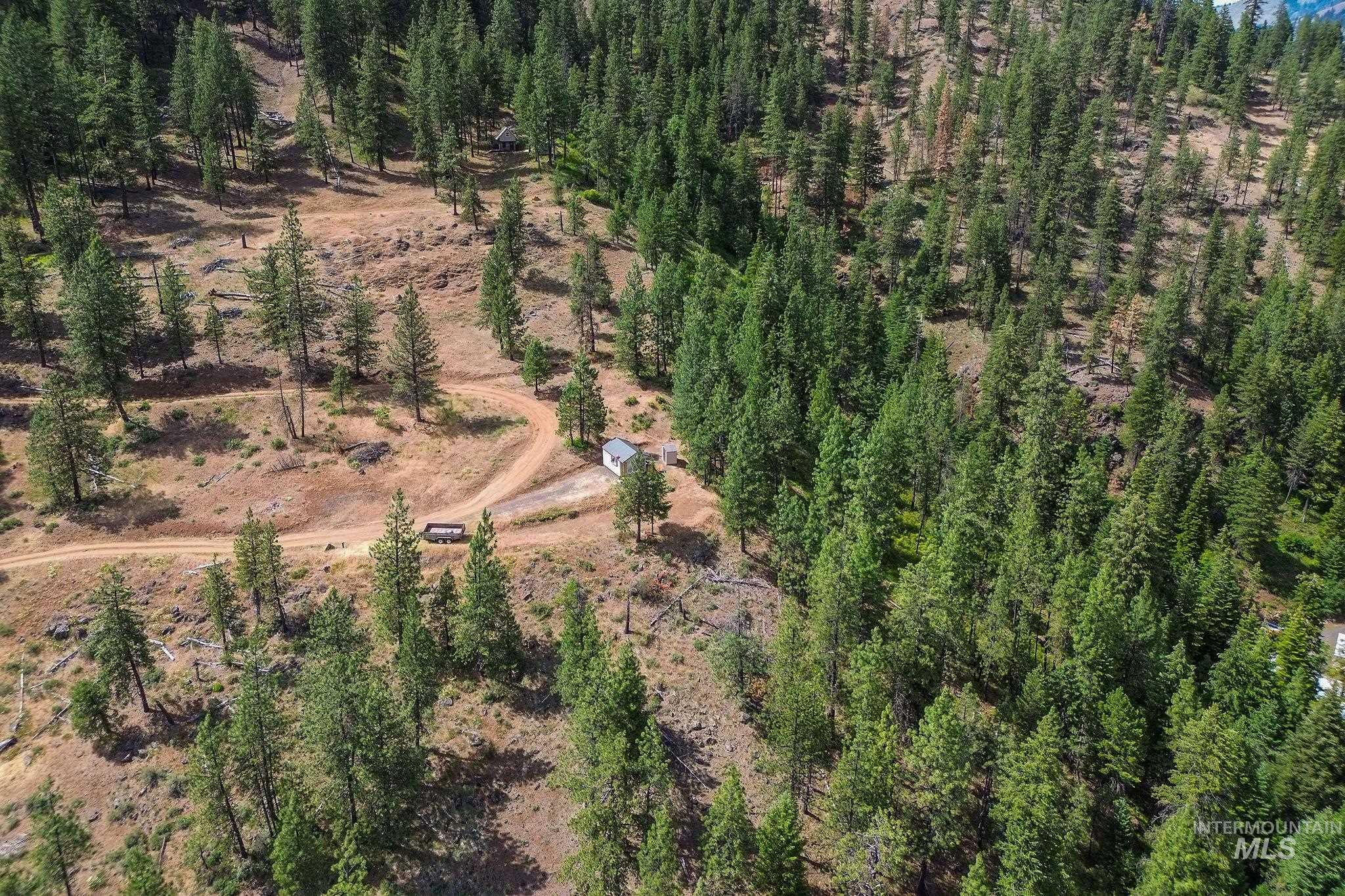 28 Hillman Basin Rd, New Meadows, Idaho 83654, Land For Sale, Price $170,000,MLS 98952127