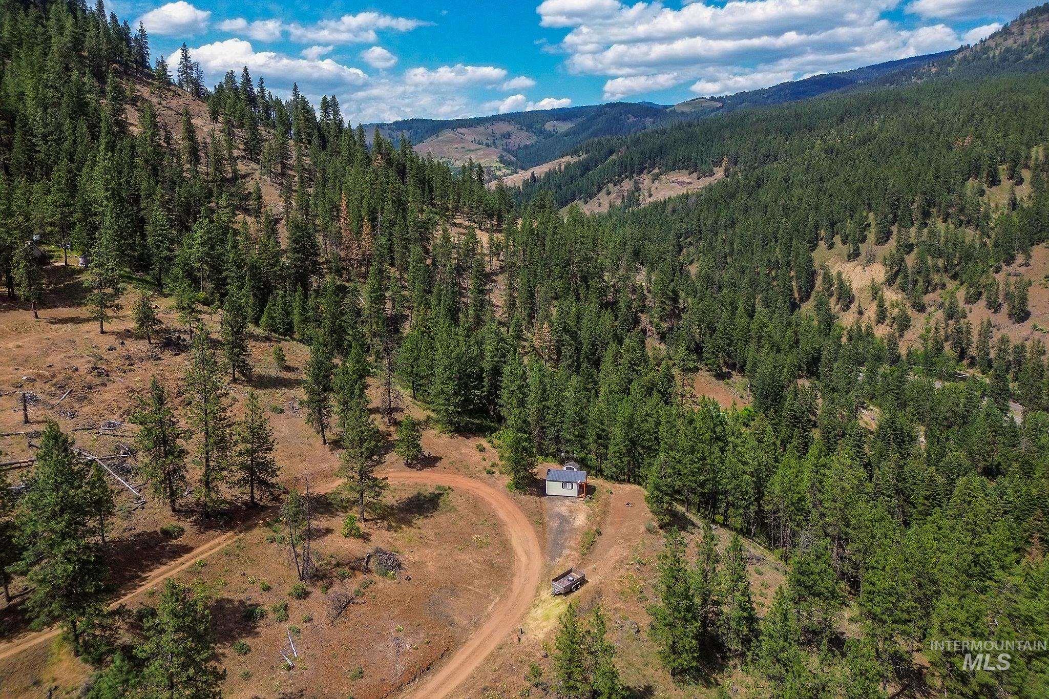 28 Hillman Basin Rd, New Meadows, Idaho 83654, Land For Sale, Price $170,000,MLS 98952127