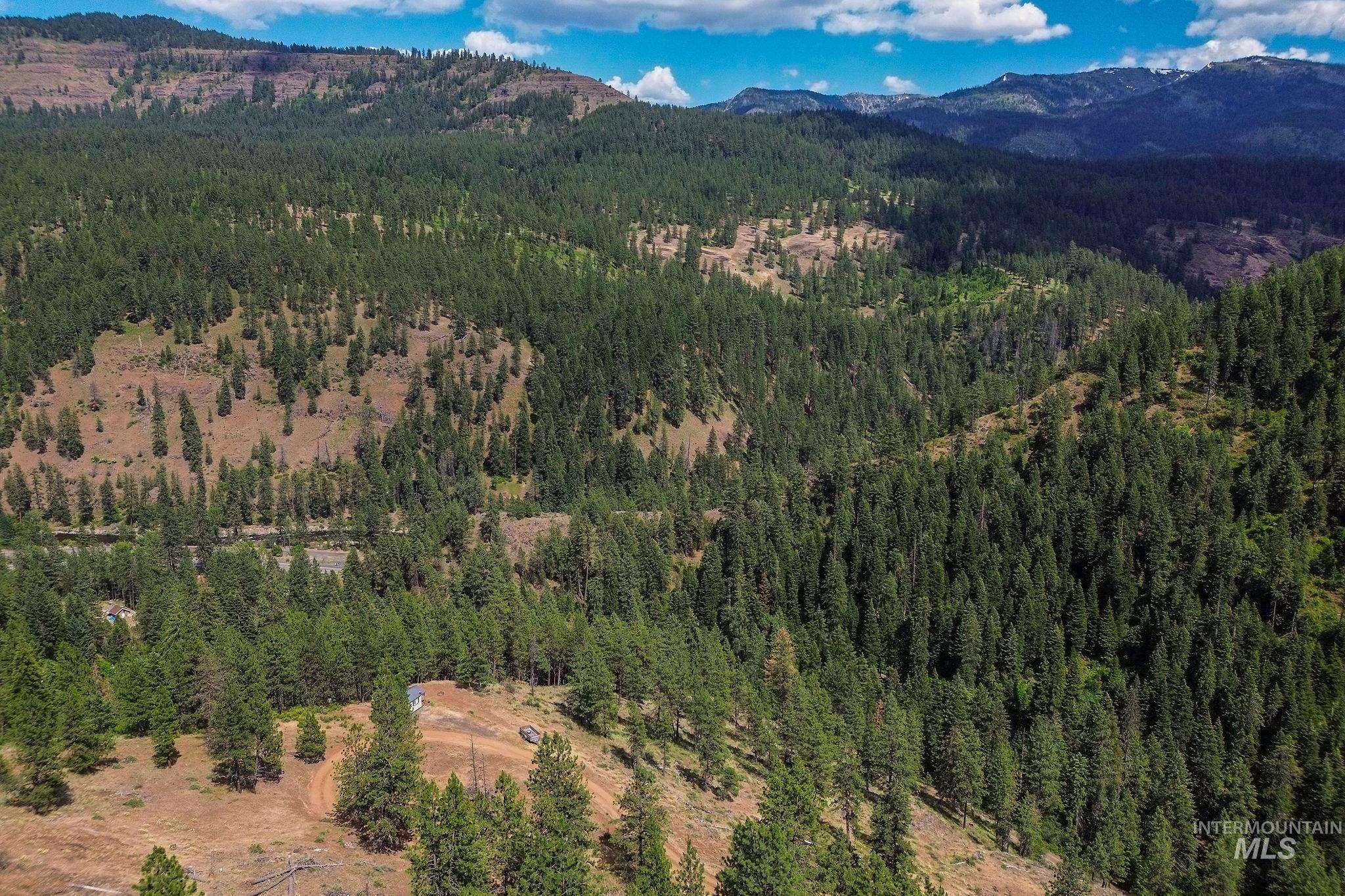 28 Hillman Basin Rd, New Meadows, Idaho 83654, Land For Sale, Price $170,000,MLS 98952127