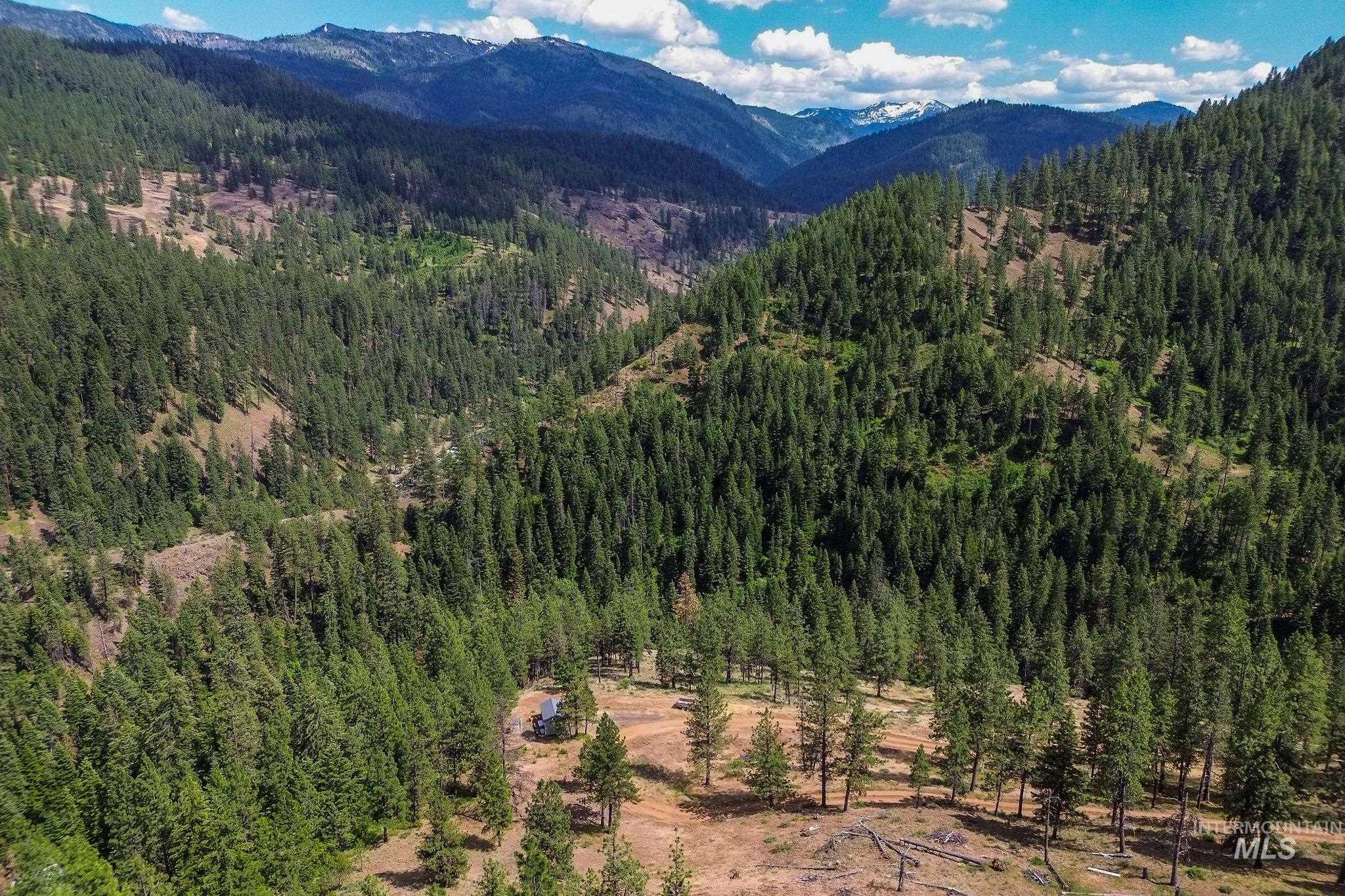 28 Hillman Basin Rd, New Meadows, Idaho 83654, Land For Sale, Price $170,000,MLS 98952127