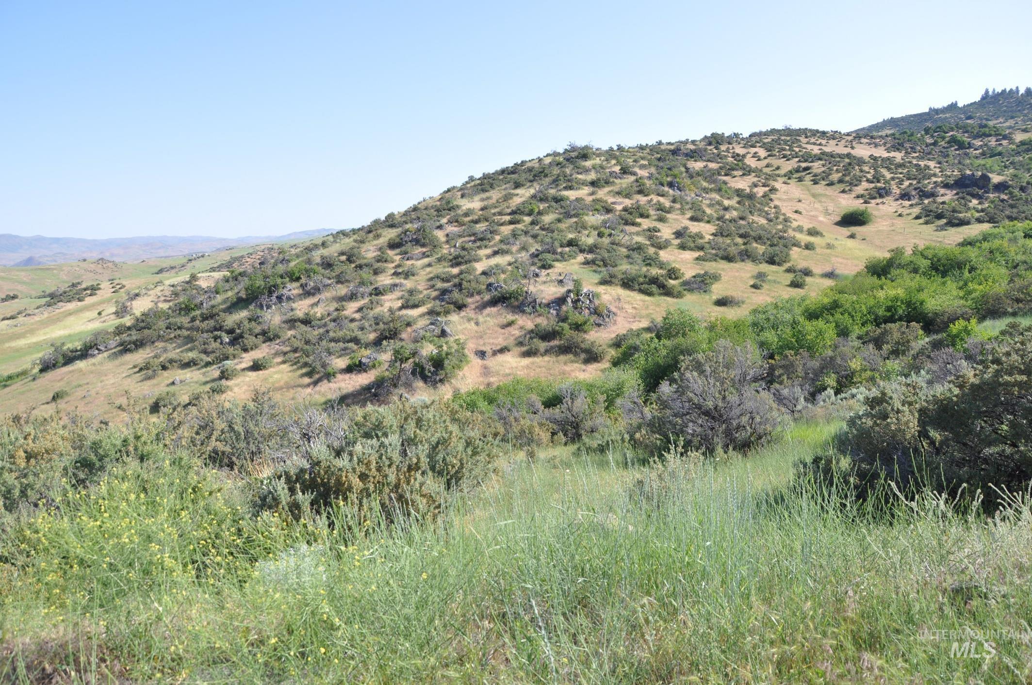 TBD Holbrook Lane, Ola, Idaho 83657, Land For Sale, Price $1,000,000, 98952337