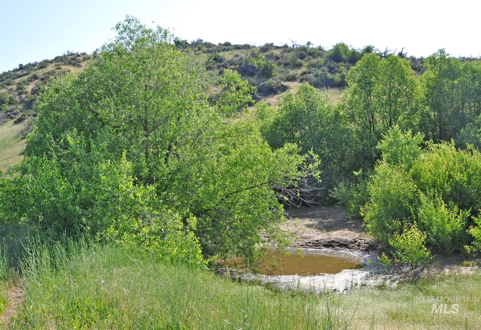 TBD Holbrook Lane, Ola, Idaho 83657, Land For Sale, Price $1,000,000, 98952337