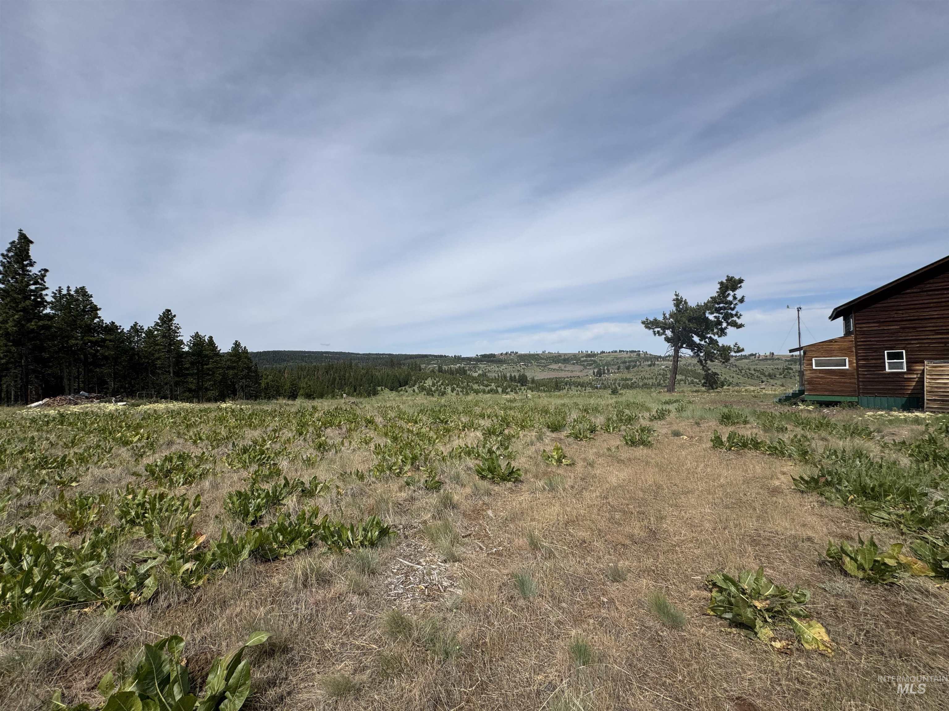 100 Rock Hill Rd, Pomeroy, Washington 99347, 0.5 Bathroom, Residential For Sale, Price $185,000,MLS 98952816