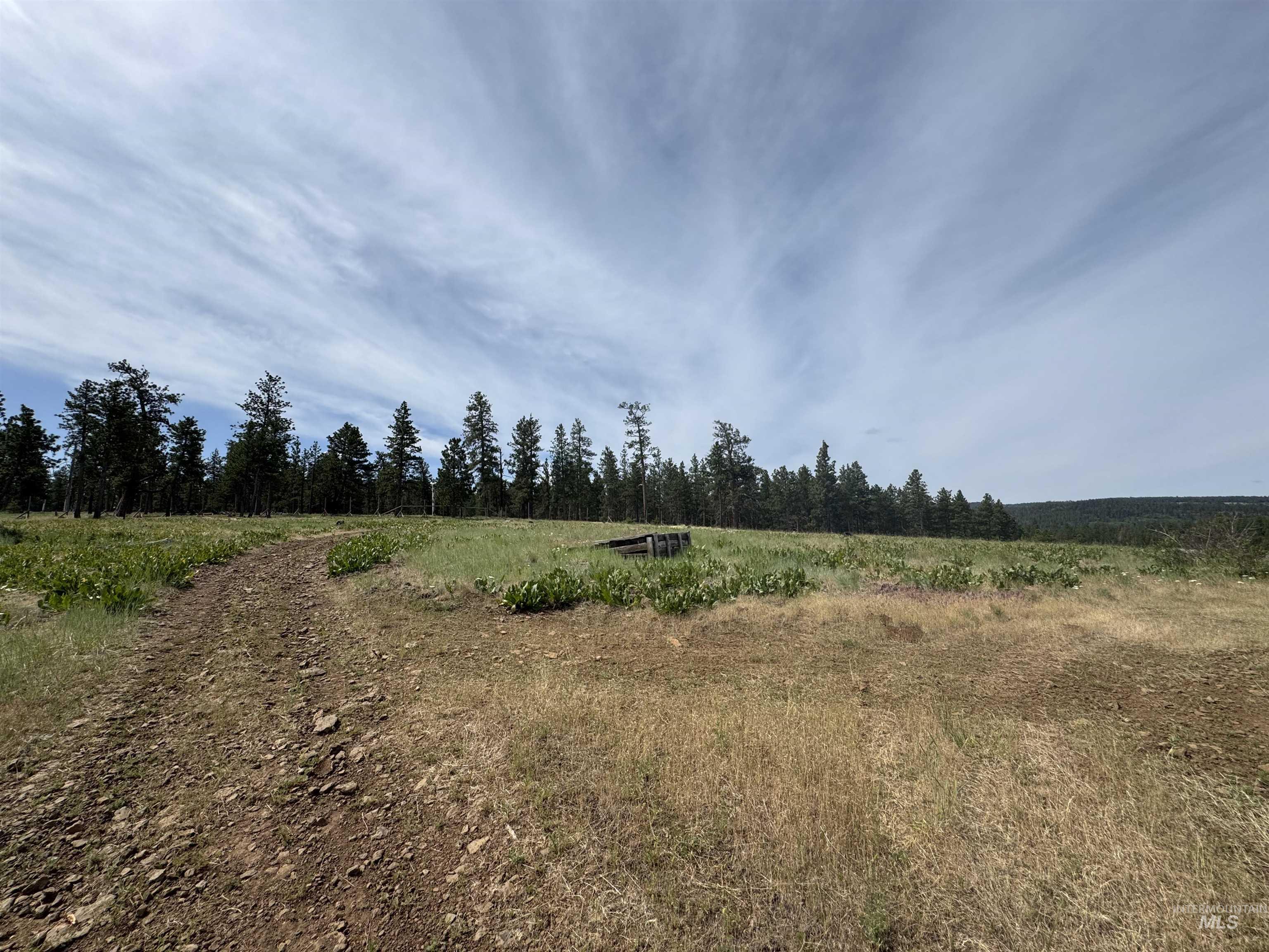 100 Rock Hill Rd, Pomeroy, Washington 99347, 0.5 Bathroom, Residential For Sale, Price $185,000,MLS 98952816