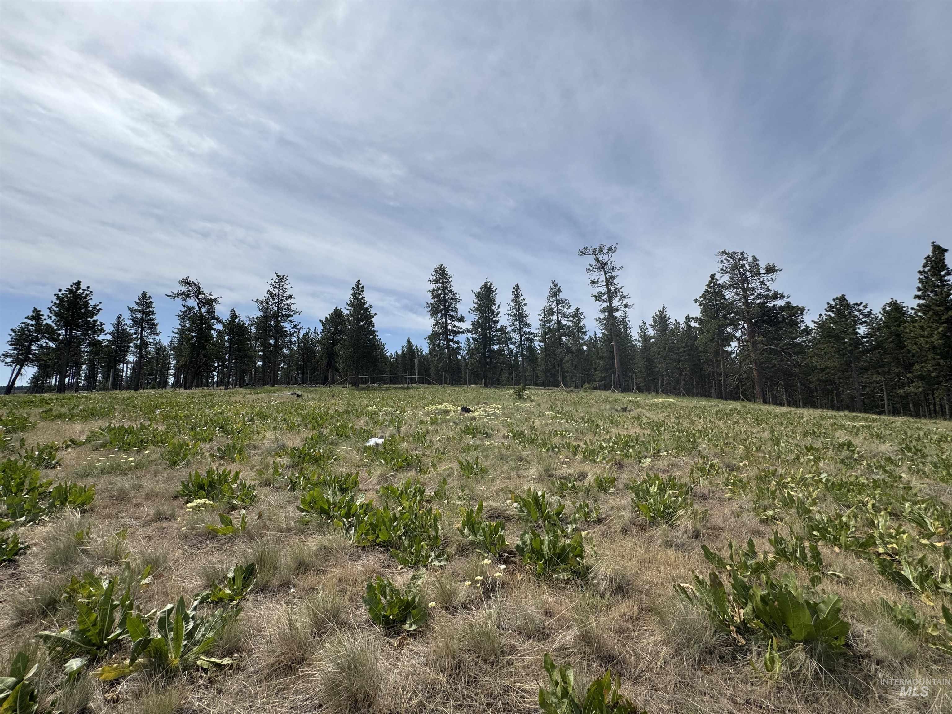 100 Rock Hill Rd, Pomeroy, Washington 99347, 0.5 Bathroom, Residential For Sale, Price $185,000,MLS 98952816