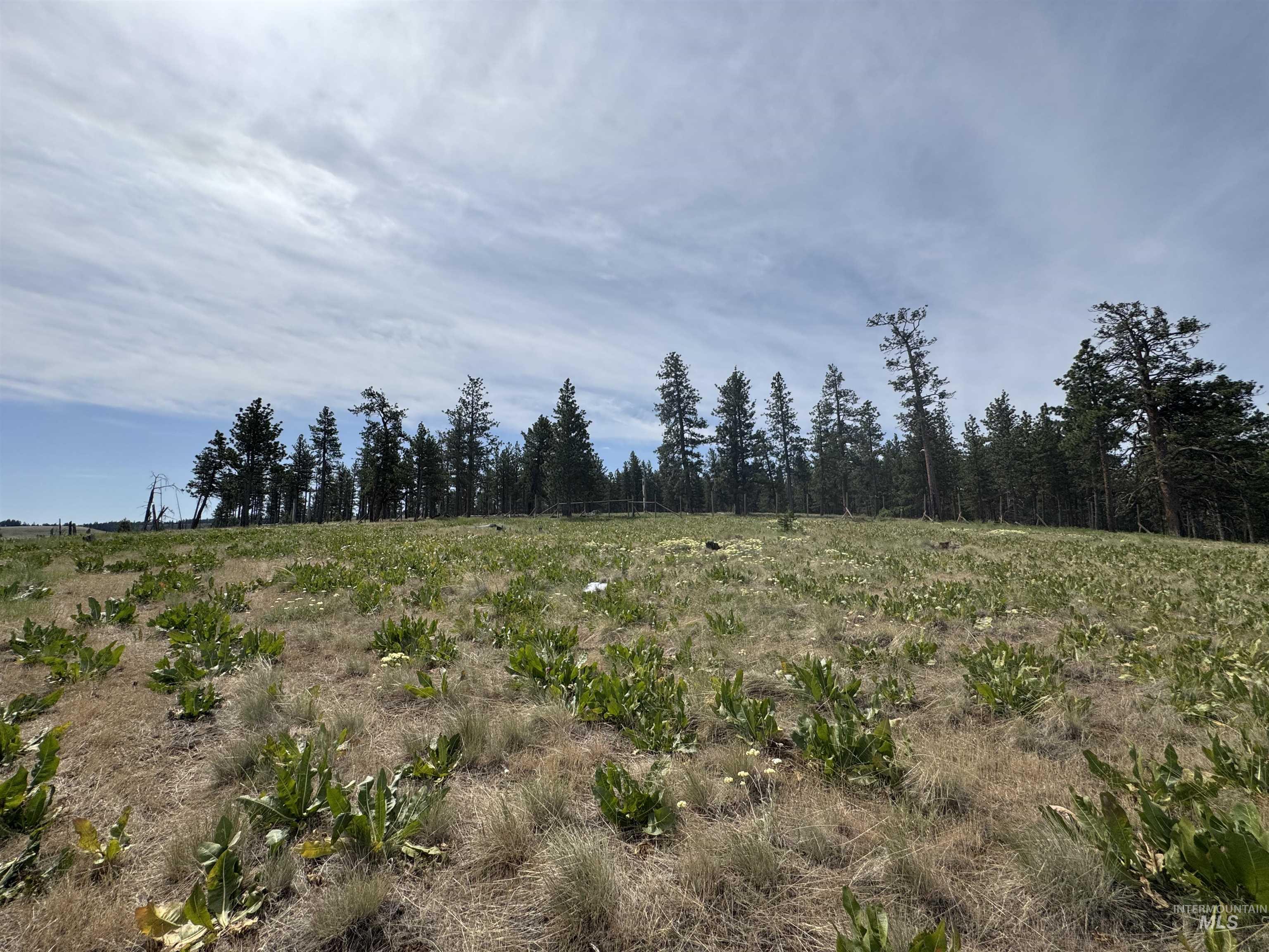 100 Rock Hill Rd, Pomeroy, Washington 99347, 0.5 Bathroom, Residential For Sale, Price $185,000,MLS 98952816