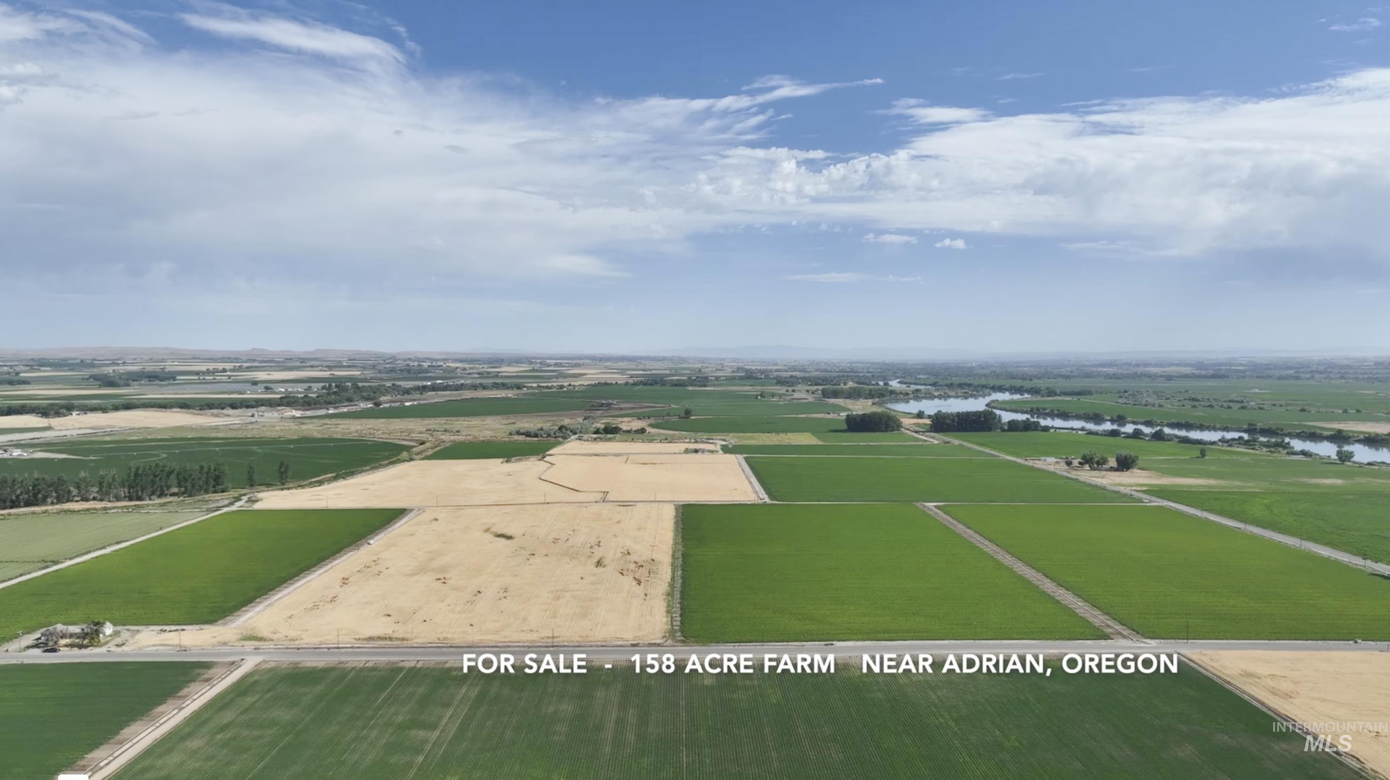 646 Overstreet Rd., Nyssa, Oregon 97913, 3 Bedrooms, 1 Bathroom, Farm & Ranch For Sale, Price $1,560,000,MLS 98952828