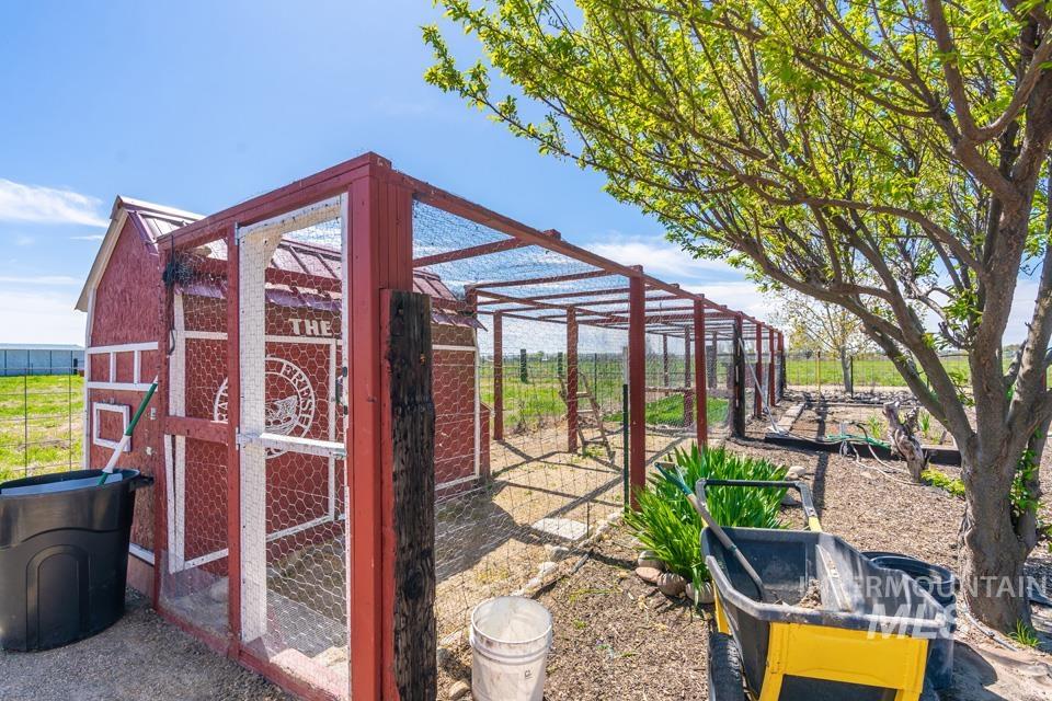 View of poultry coop