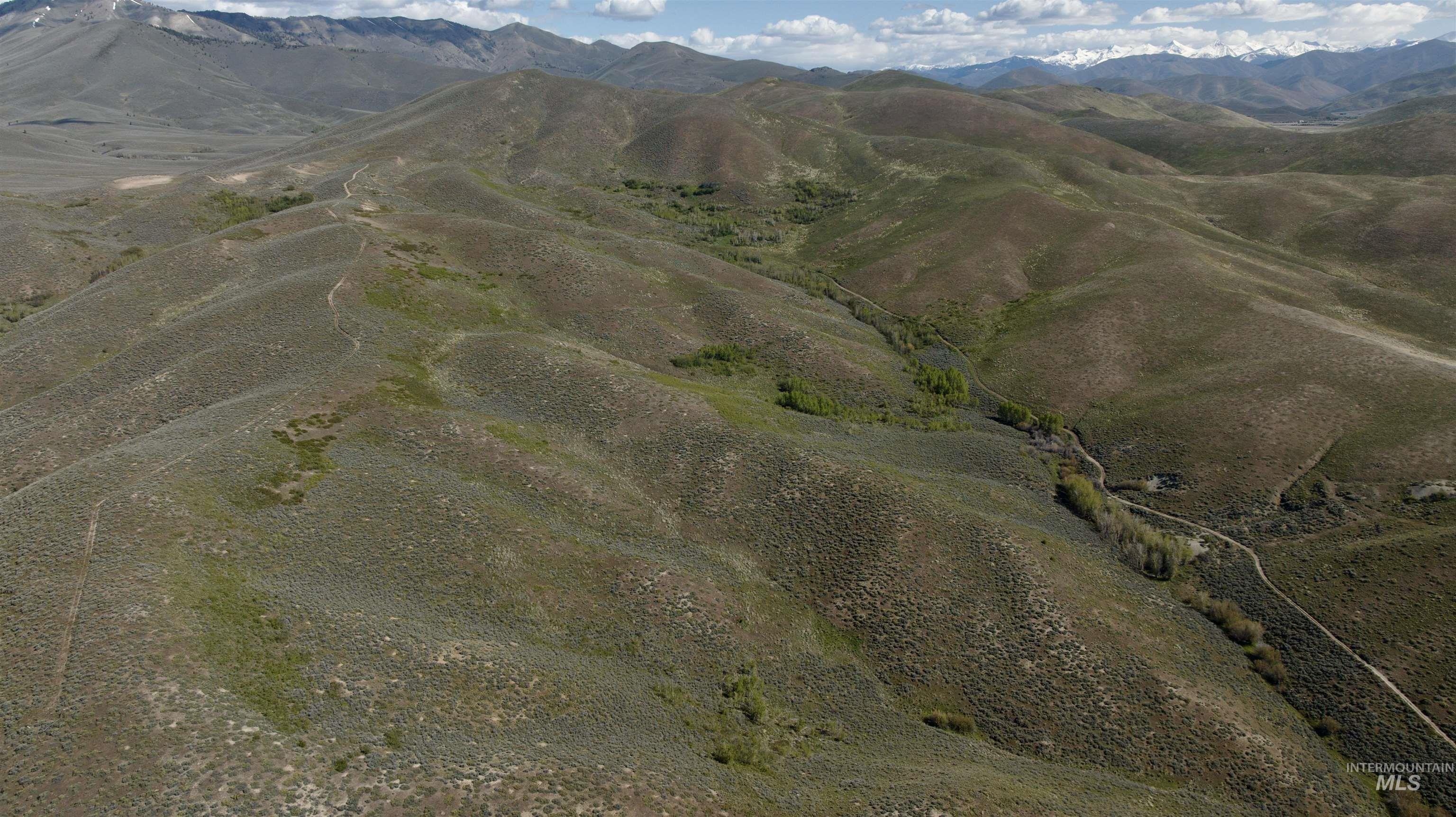 TBD Camp Creek Rd, Hailey, Idaho 83333, Land For Sale, Price $139,000, 98952855