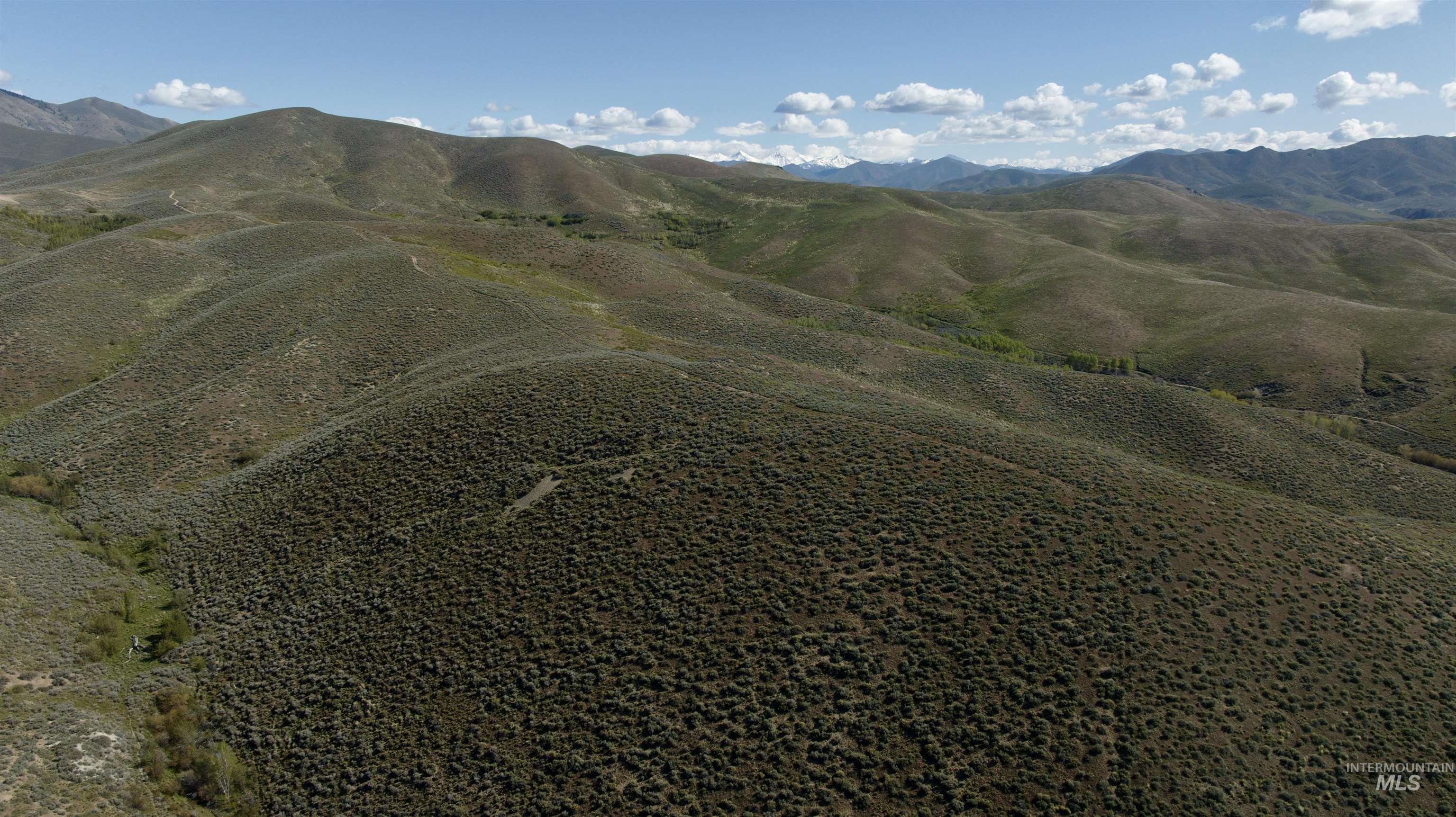 TBD Camp Creek Rd, Hailey, Idaho 83333, Land For Sale, Price $139,000, 98952855