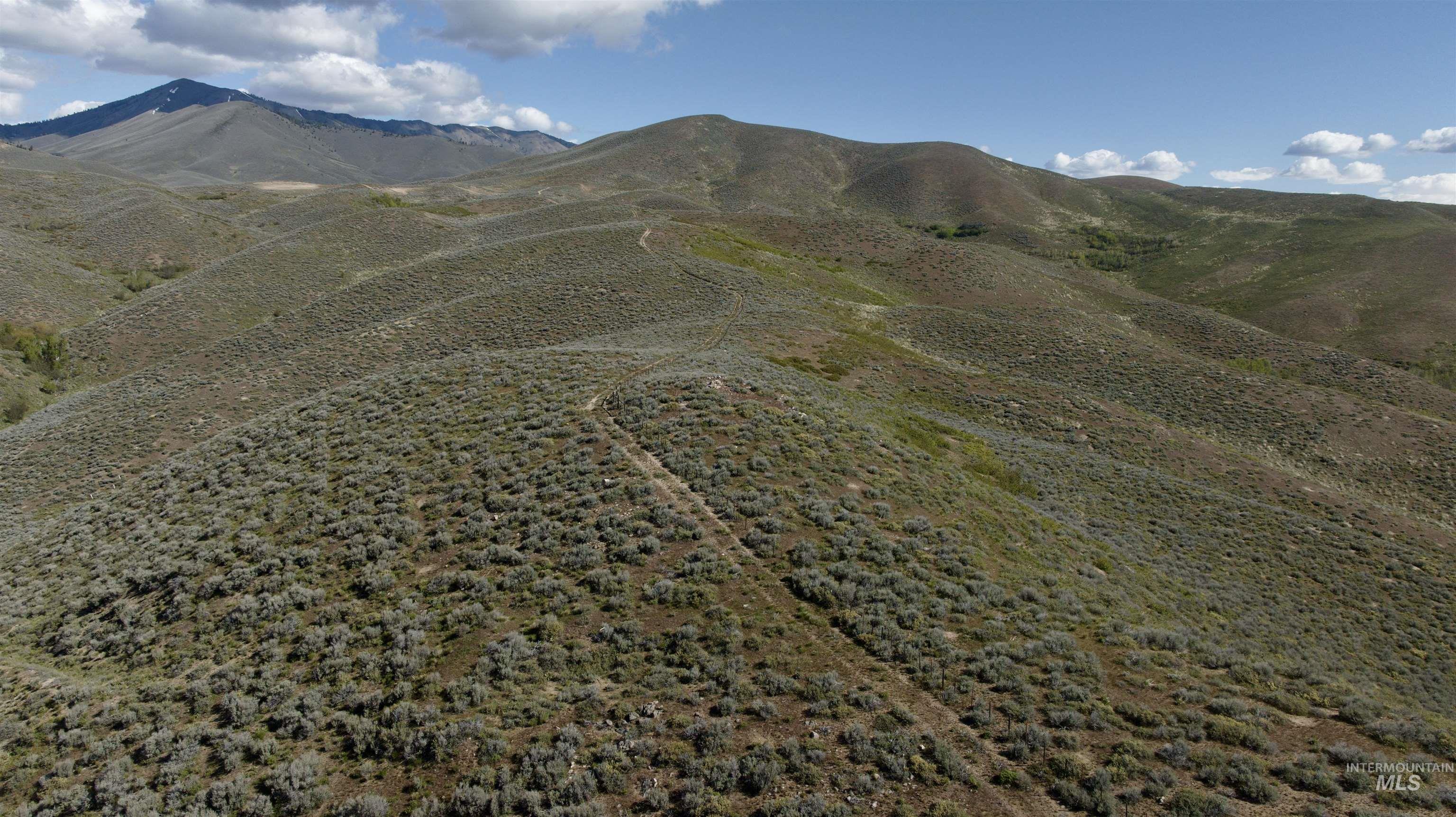 TBD Camp Creek Rd, Hailey, Idaho 83333, Land For Sale, Price $139,000, 98952855