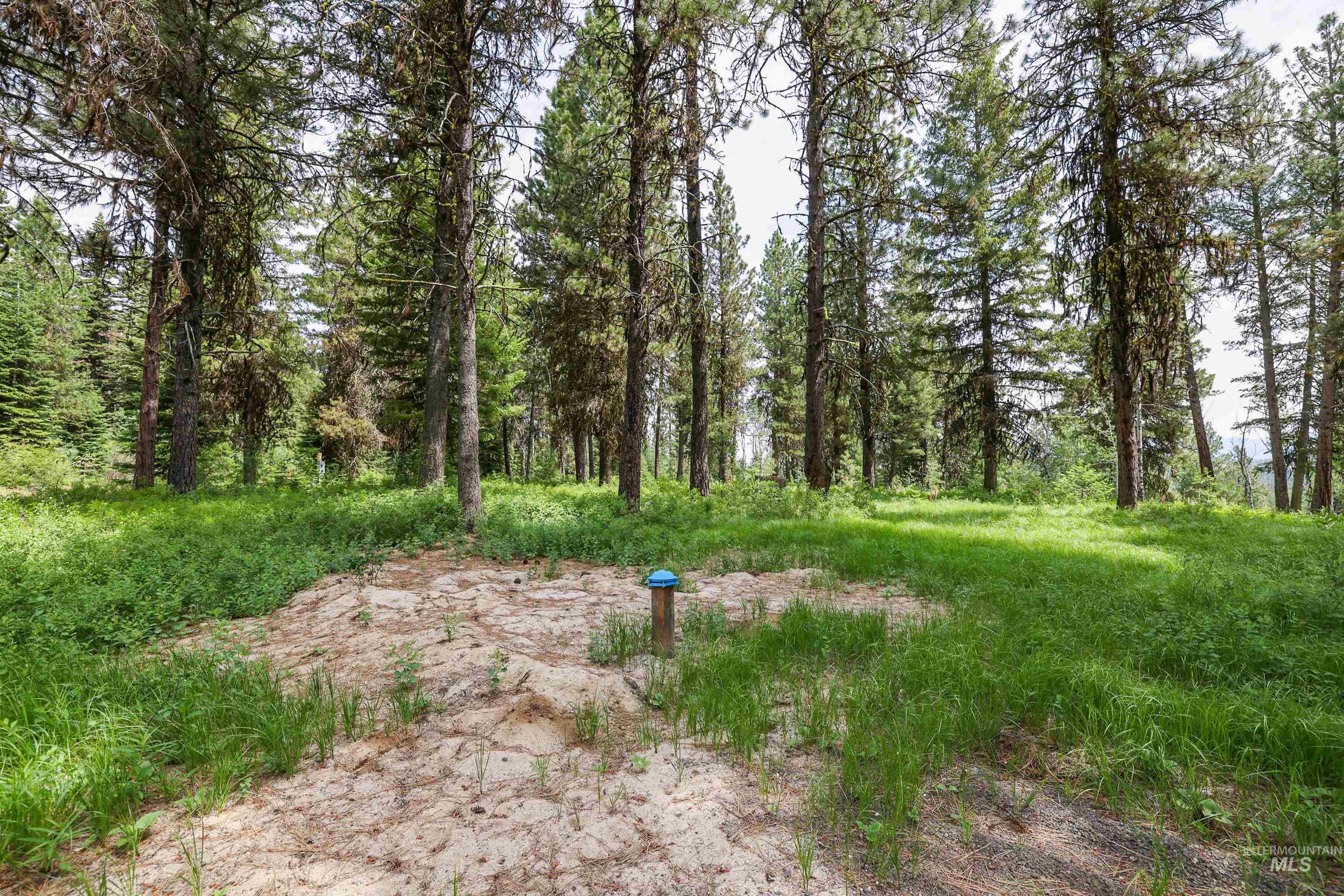 280 Blackhawk Lake Dr, McCall, Idaho 83638, Land For Sale, Price $450,000,MLS 98952950