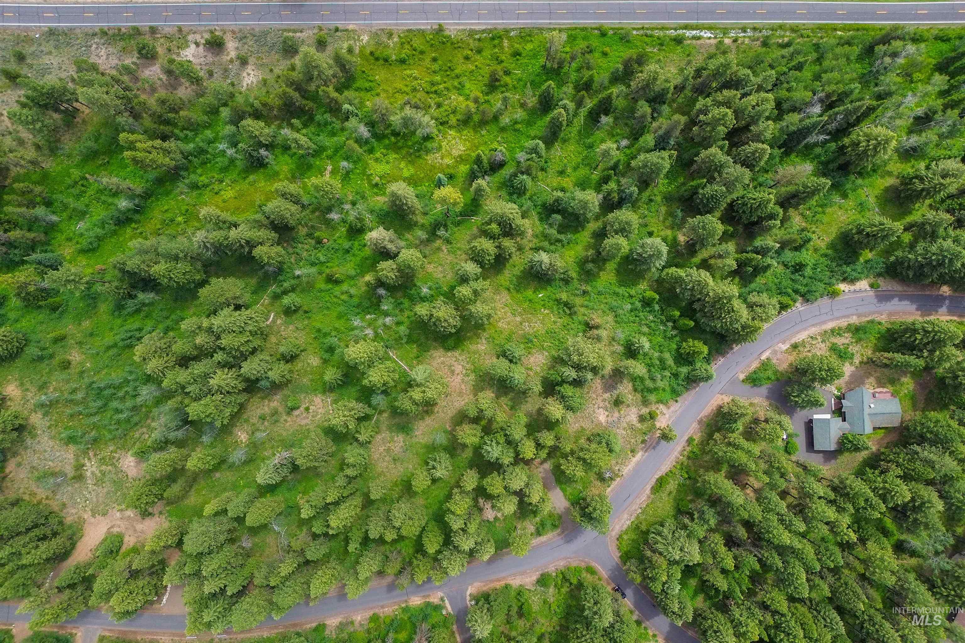 280 Blackhawk Lake Dr, McCall, Idaho 83638, Land For Sale, Price $450,000,MLS 98952950