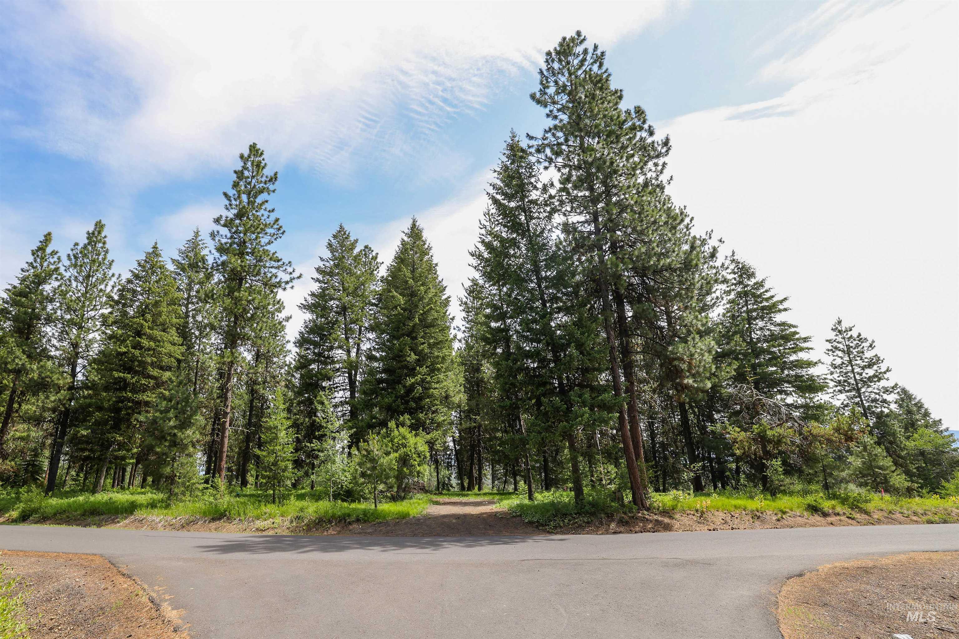 280 Blackhawk Lake Dr, McCall, Idaho 83638, Land For Sale, Price $450,000,MLS 98952950