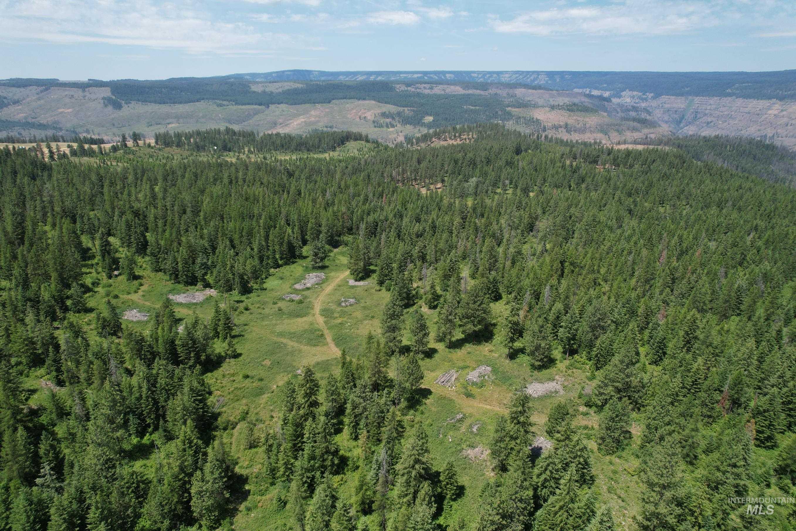 TBD Sickfoot Road, Wallowa, Oregon 97885, Land For Sale, Price $1,408,000, 98952990