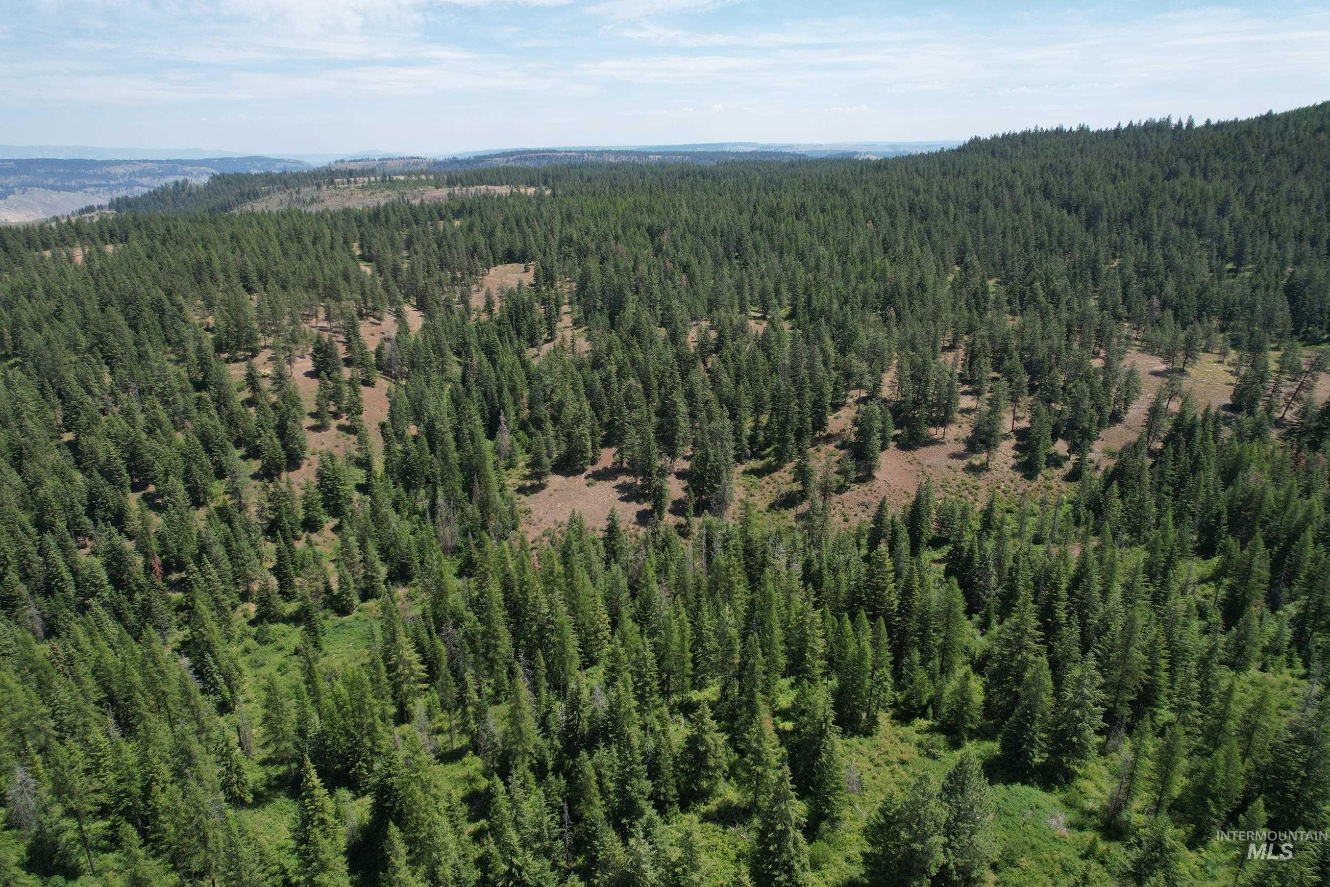 TBD Sickfoot Road, Wallowa, Oregon 97885, Land For Sale, Price $1,408,000, 98952990