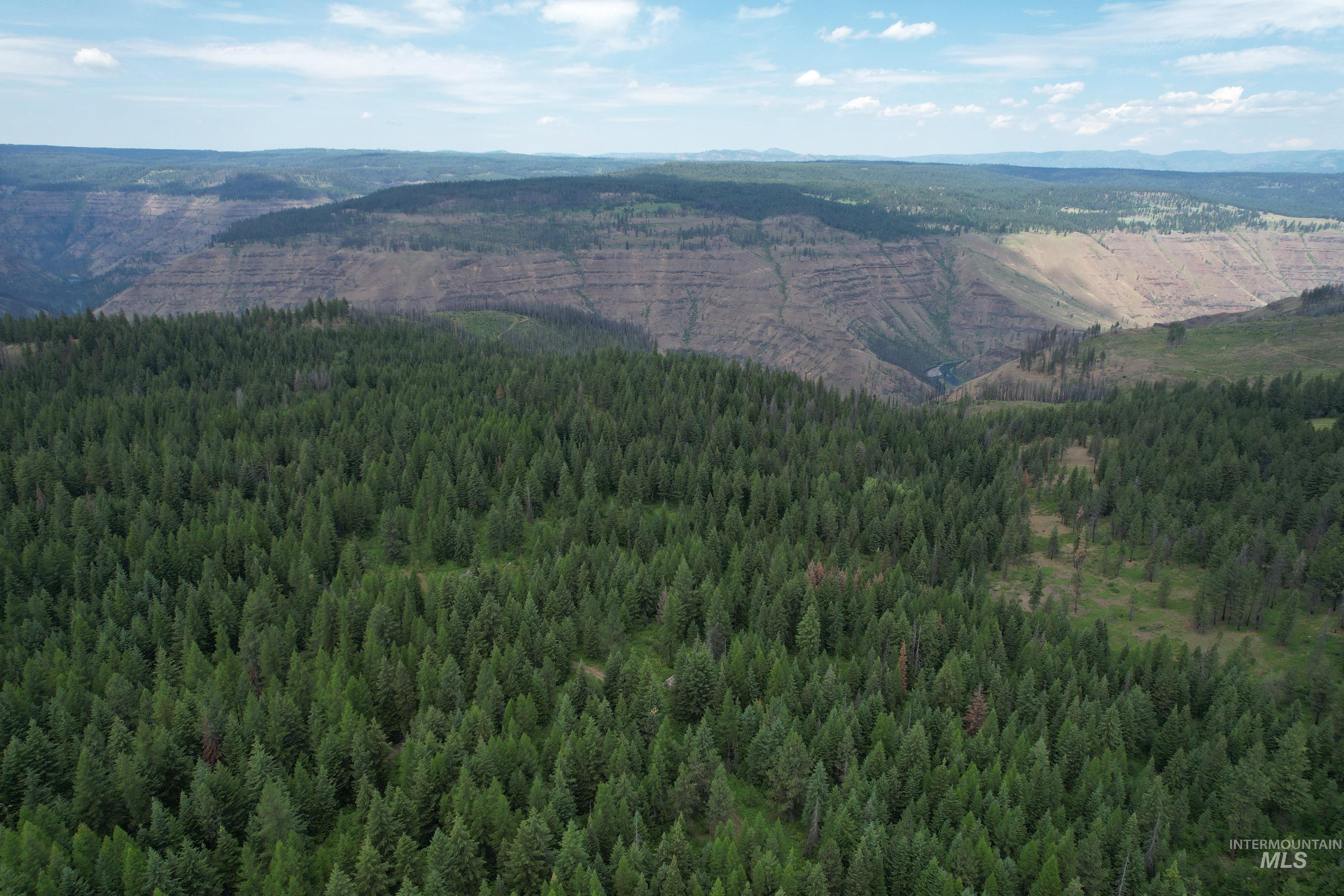 TBD Sickfoot Road, Wallowa, Oregon 97885, Land For Sale, Price $1,408,000, 98952990